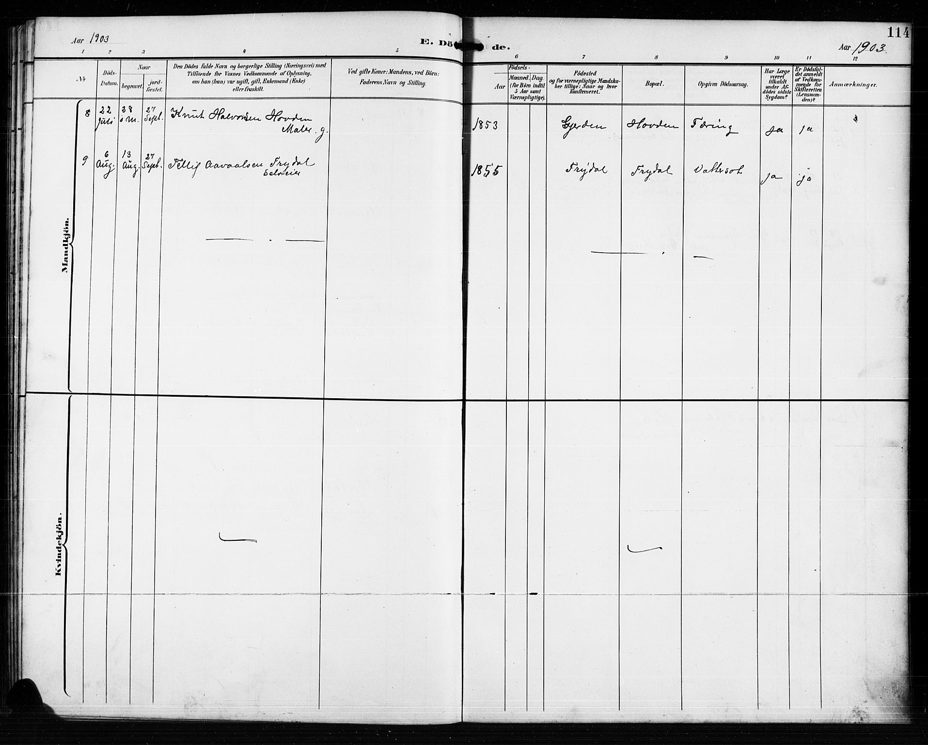 Valle sokneprestkontor, AV/SAK-1111-0044/F/Fb/Fba/L0003: Parish register (copy) no. B 3, 1895-1916, p. 114