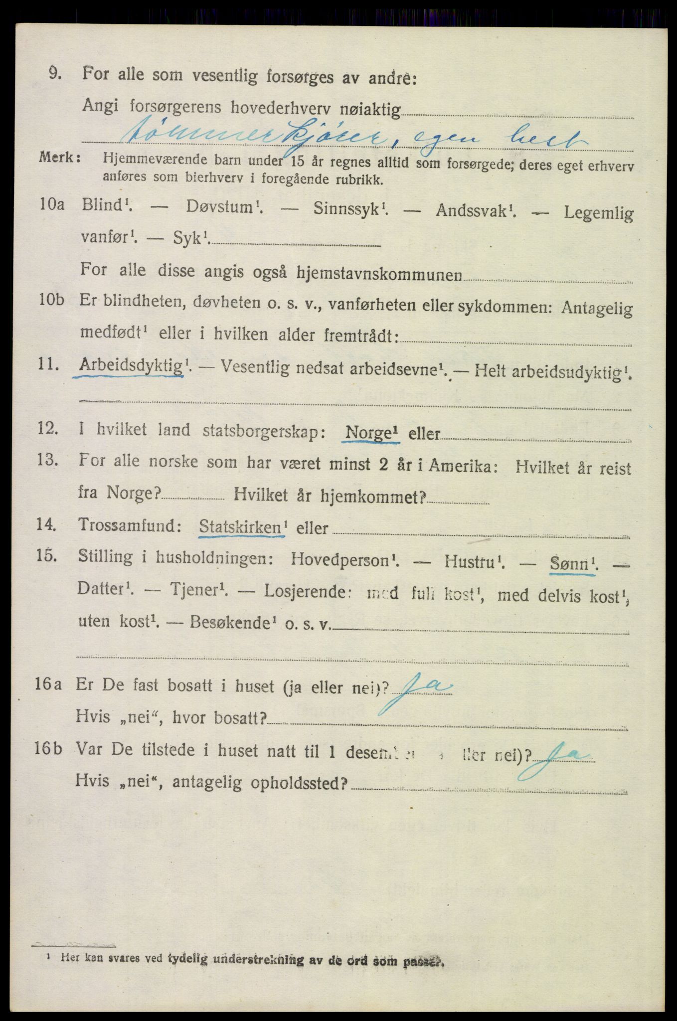 SAH, 1920 census for Elverum, 1920, p. 22219