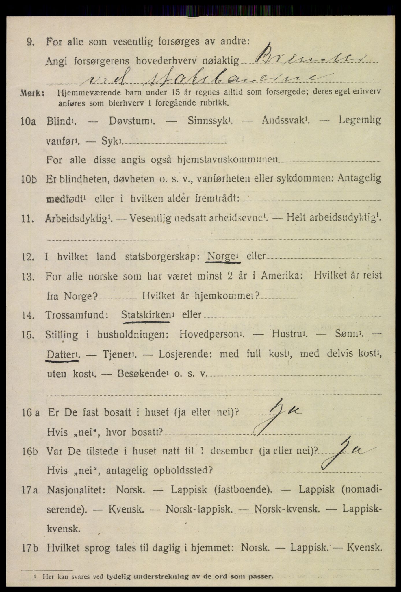 SAT, 1920 census for Meråker, 1920, p. 1733