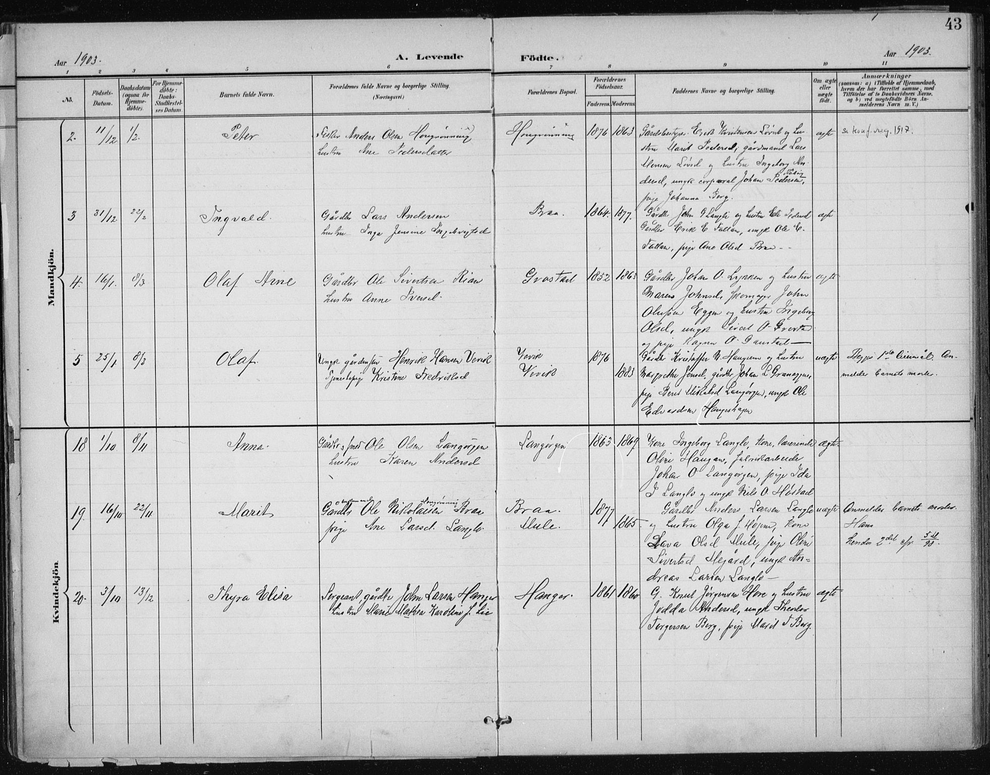 Ministerialprotokoller, klokkerbøker og fødselsregistre - Sør-Trøndelag, SAT/A-1456/612/L0380: Parish register (official) no. 612A12, 1898-1907, p. 43