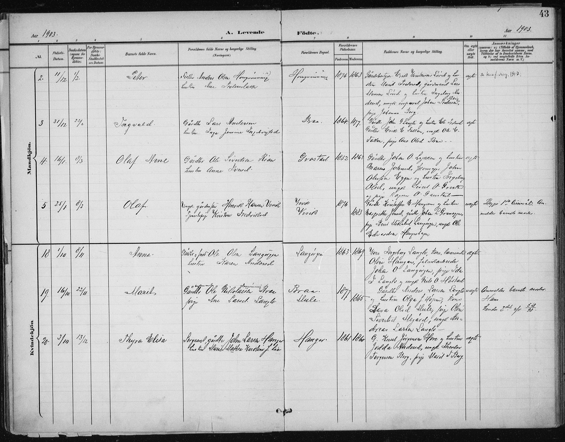 Ministerialprotokoller, klokkerbøker og fødselsregistre - Sør-Trøndelag, AV/SAT-A-1456/612/L0380: Parish register (official) no. 612A12, 1898-1907, p. 43