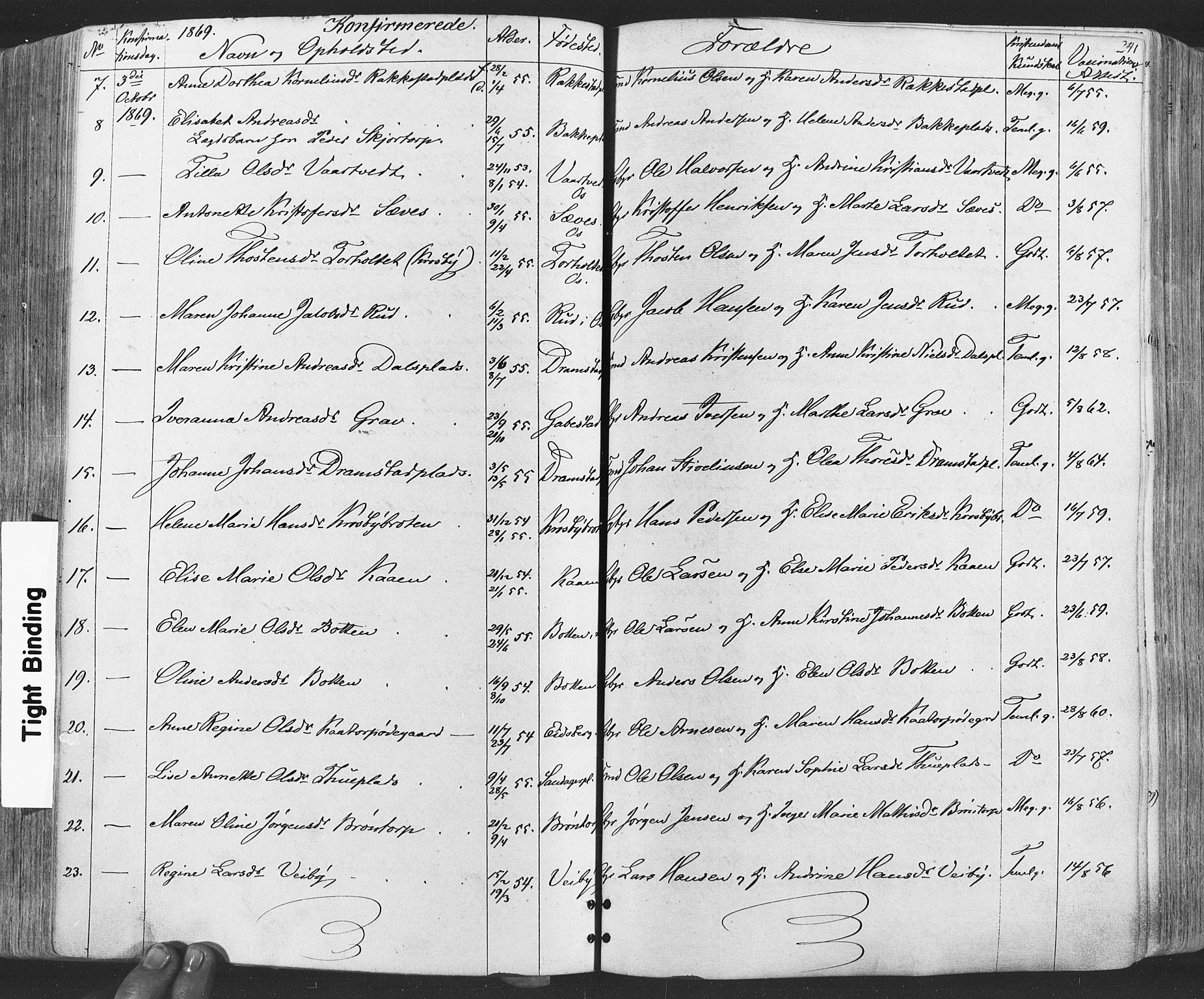 Rakkestad prestekontor Kirkebøker, SAO/A-2008/F/Fa/L0011: Parish register (official) no. I 11, 1862-1877, p. 241