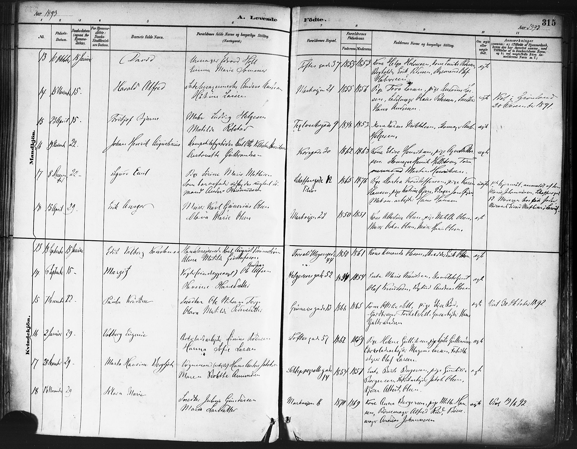 Paulus prestekontor Kirkebøker, AV/SAO-A-10871/F/Fa/L0013: Parish register (official) no. 13, 1887-1894, p. 315