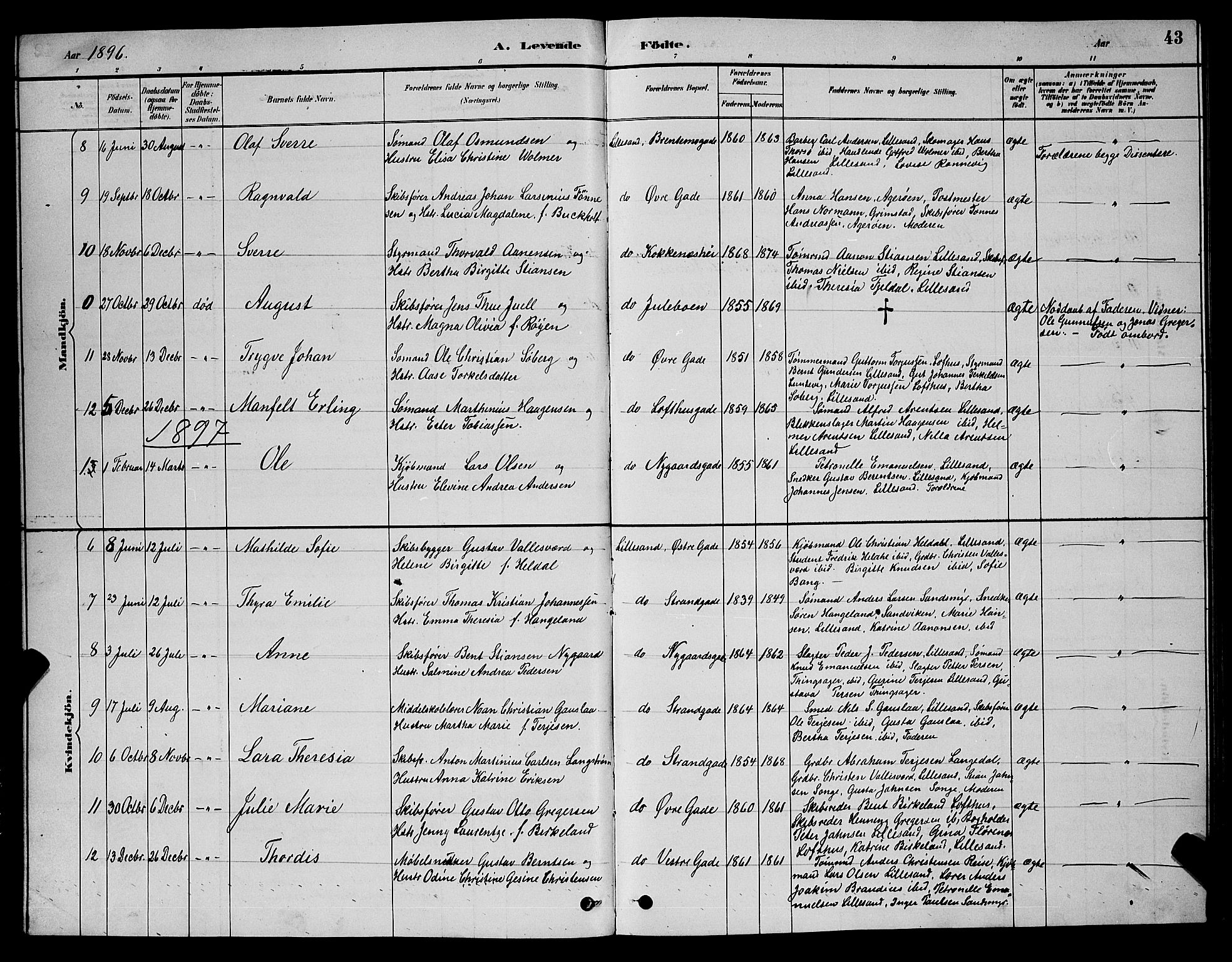 Vestre Moland sokneprestkontor, SAK/1111-0046/F/Fb/Fba/L0001: Parish register (copy) no. B 1, 1884-1903, p. 43