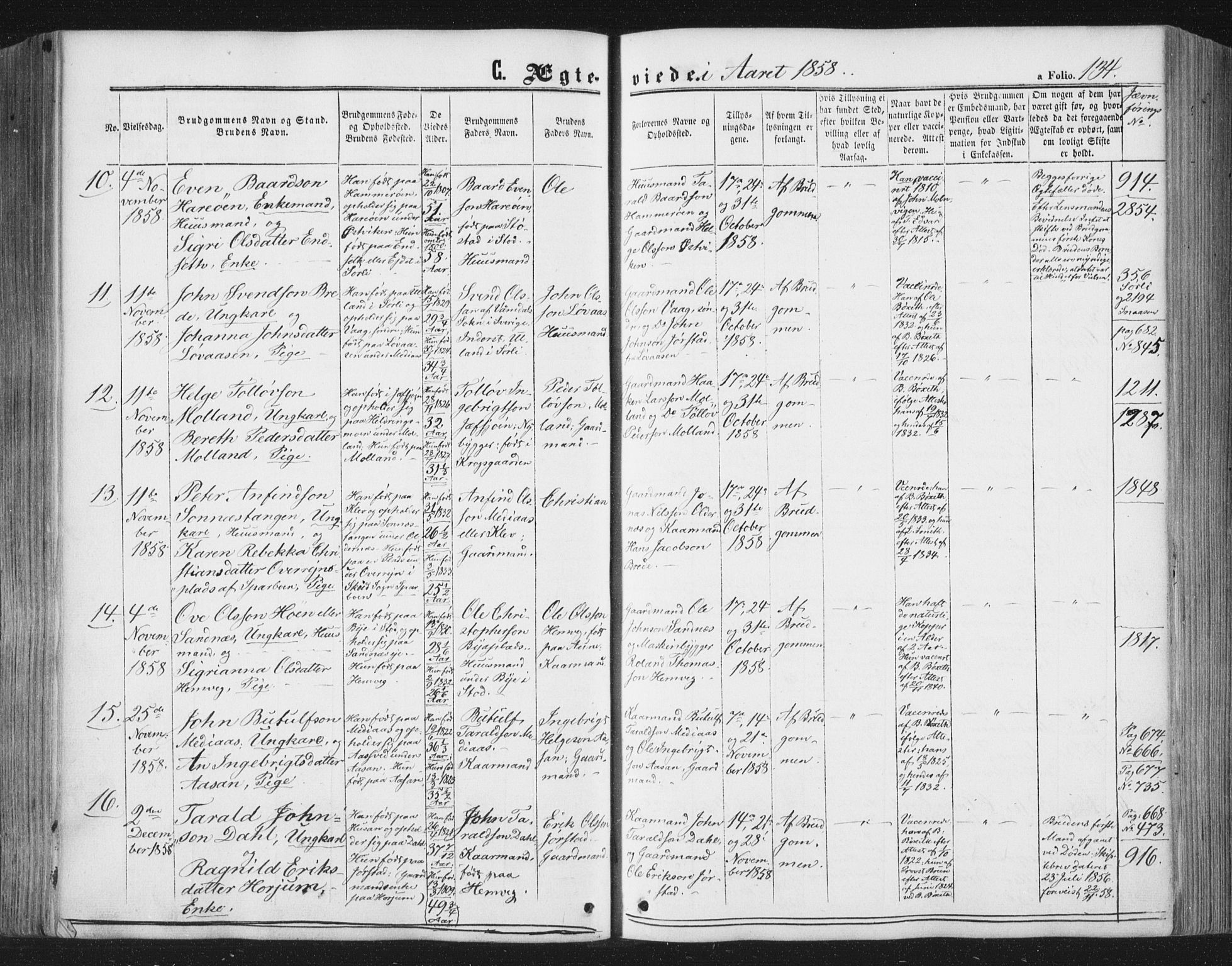 Ministerialprotokoller, klokkerbøker og fødselsregistre - Nord-Trøndelag, AV/SAT-A-1458/749/L0472: Parish register (official) no. 749A06, 1857-1873, p. 134