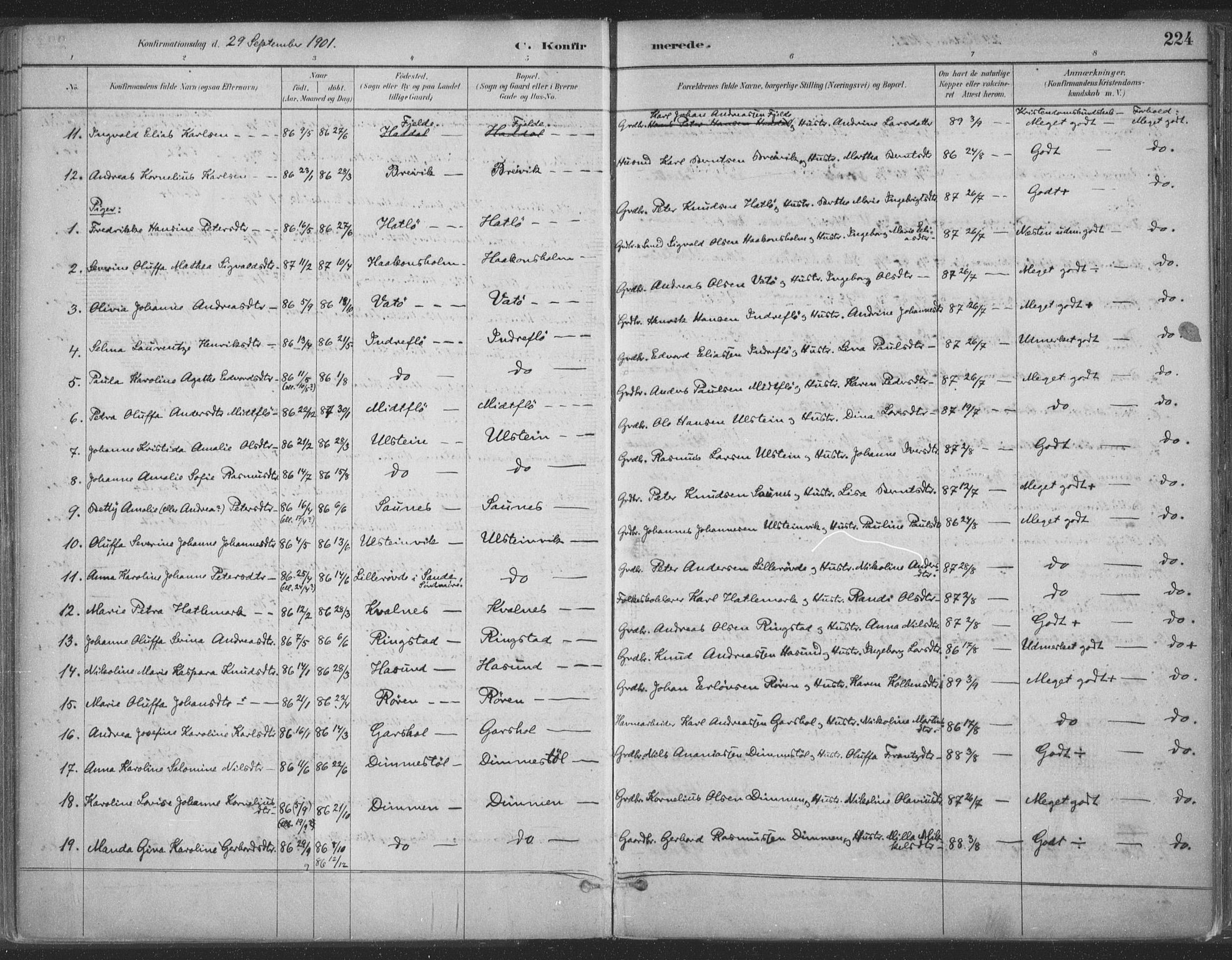 Ministerialprotokoller, klokkerbøker og fødselsregistre - Møre og Romsdal, SAT/A-1454/509/L0106: Parish register (official) no. 509A04, 1883-1922, p. 224