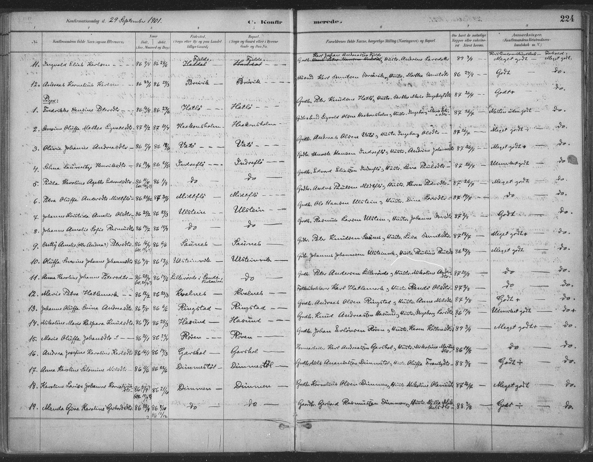 Ministerialprotokoller, klokkerbøker og fødselsregistre - Møre og Romsdal, AV/SAT-A-1454/509/L0106: Parish register (official) no. 509A04, 1883-1922, p. 224