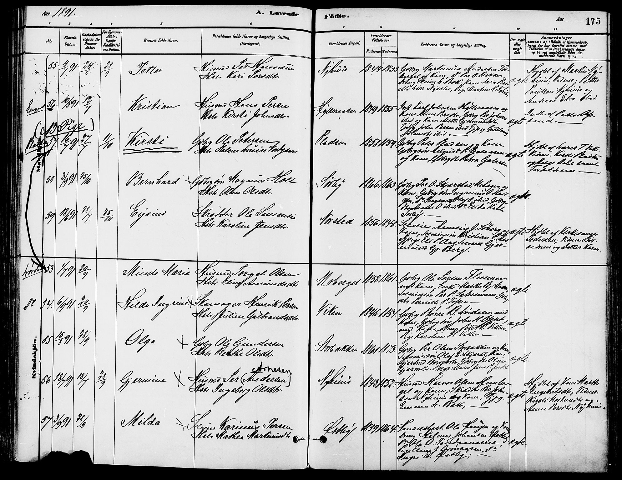 Trysil prestekontor, SAH/PREST-046/H/Ha/Haa/L0008: Parish register (official) no. 8, 1881-1897, p. 175