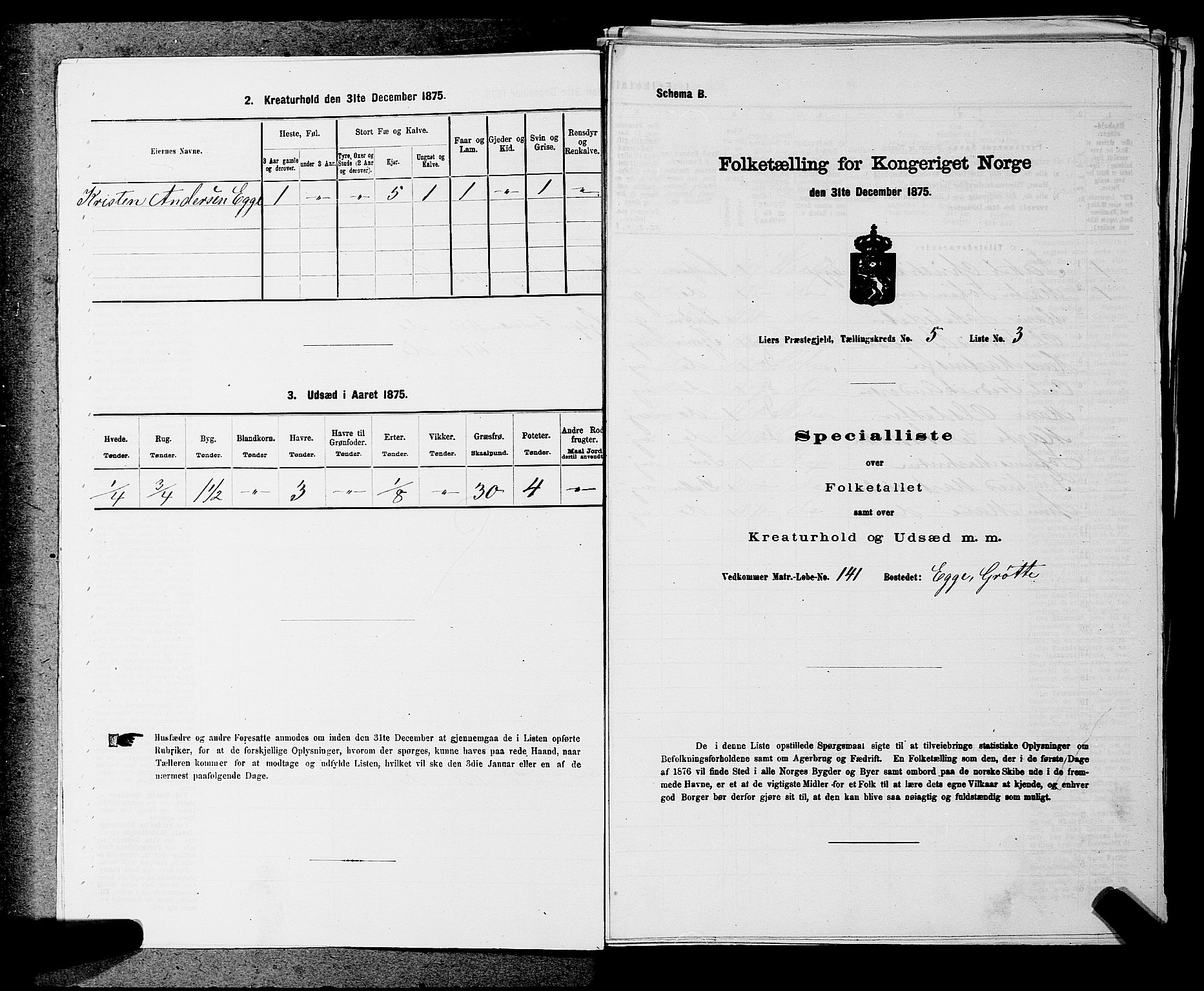 SAKO, 1875 census for 0626P Lier, 1875, p. 821