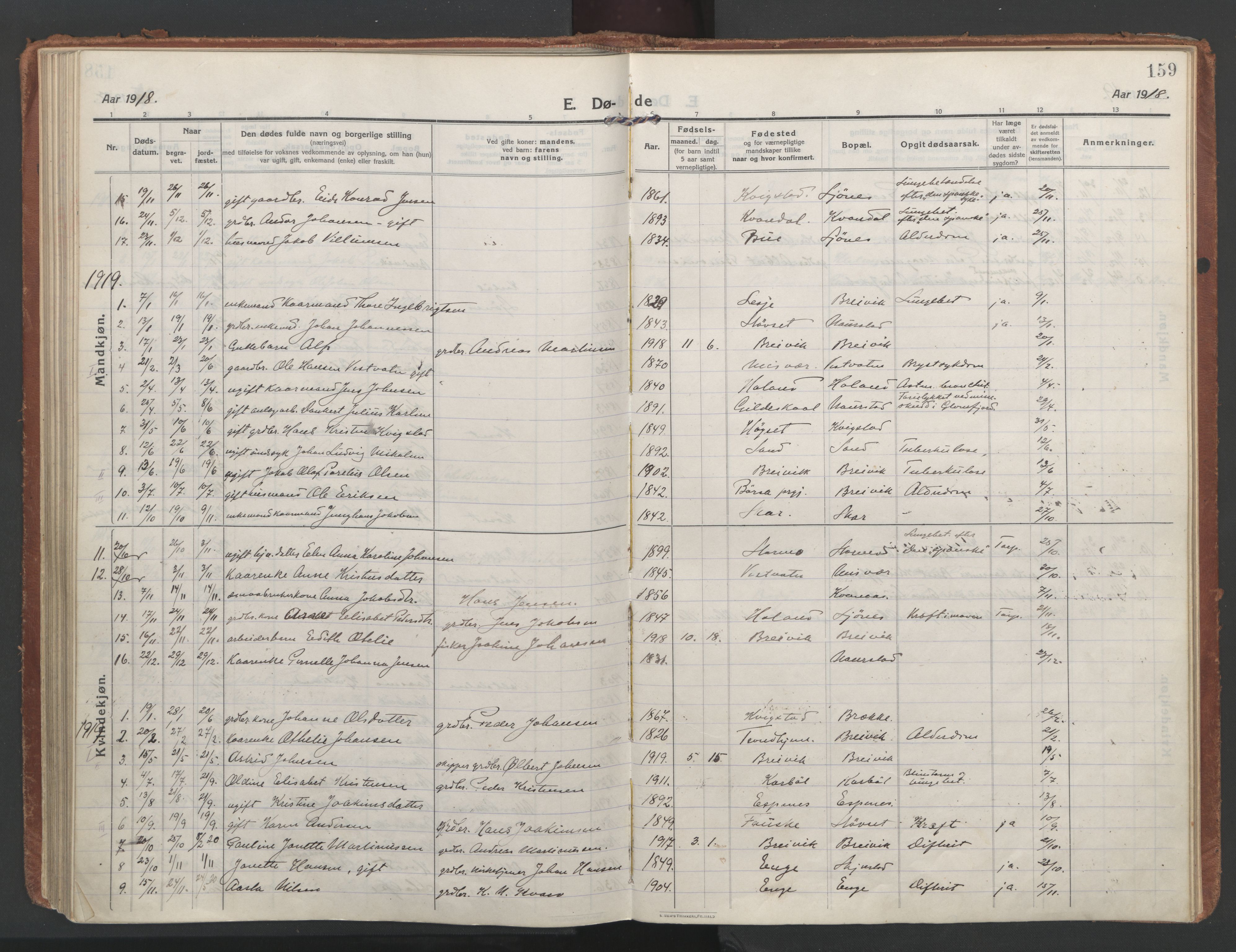 Ministerialprotokoller, klokkerbøker og fødselsregistre - Nordland, SAT/A-1459/852/L0748: Parish register (official) no. 852A18, 1913-1932, p. 159
