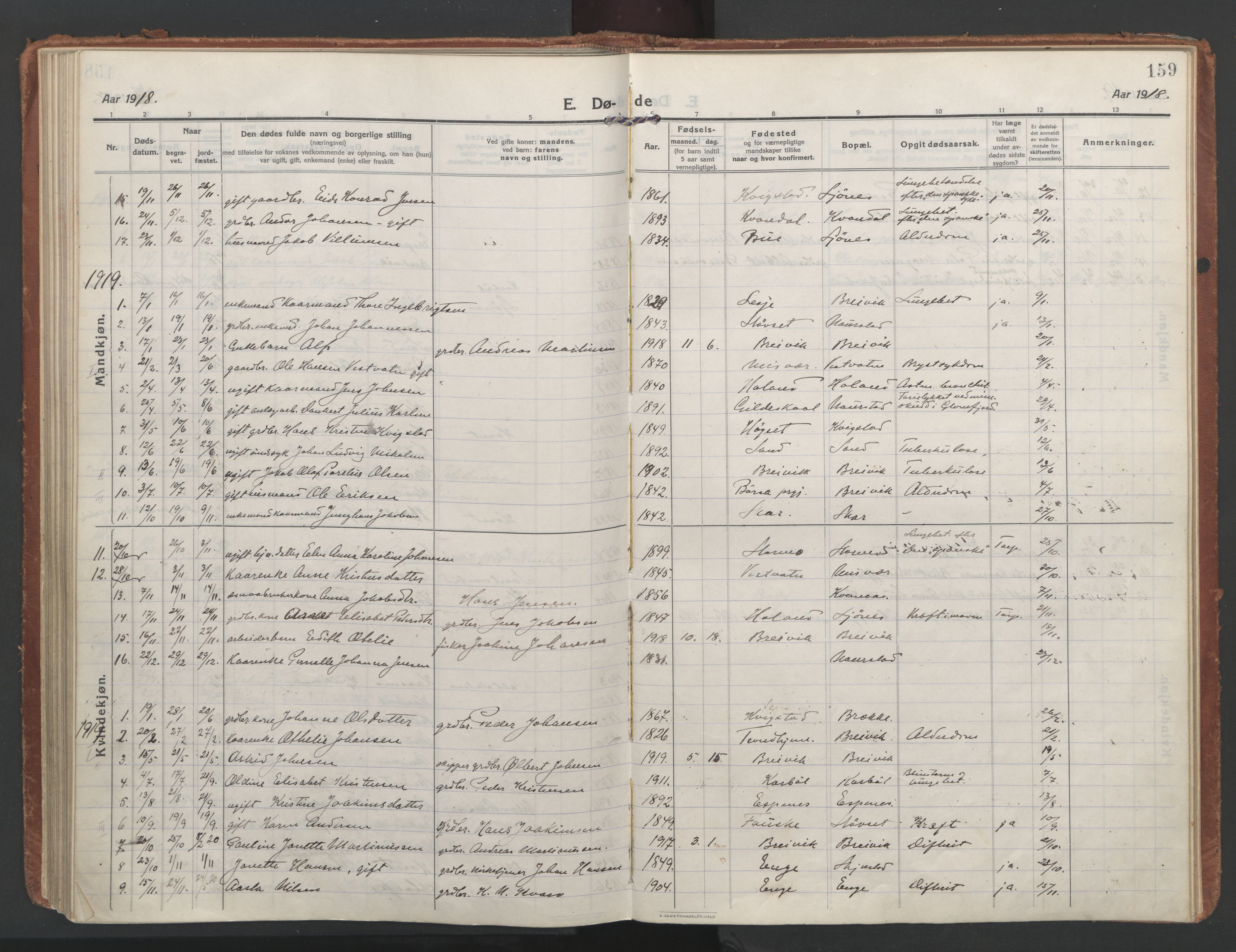 Ministerialprotokoller, klokkerbøker og fødselsregistre - Nordland, AV/SAT-A-1459/852/L0748: Parish register (official) no. 852A18, 1913-1932, p. 159