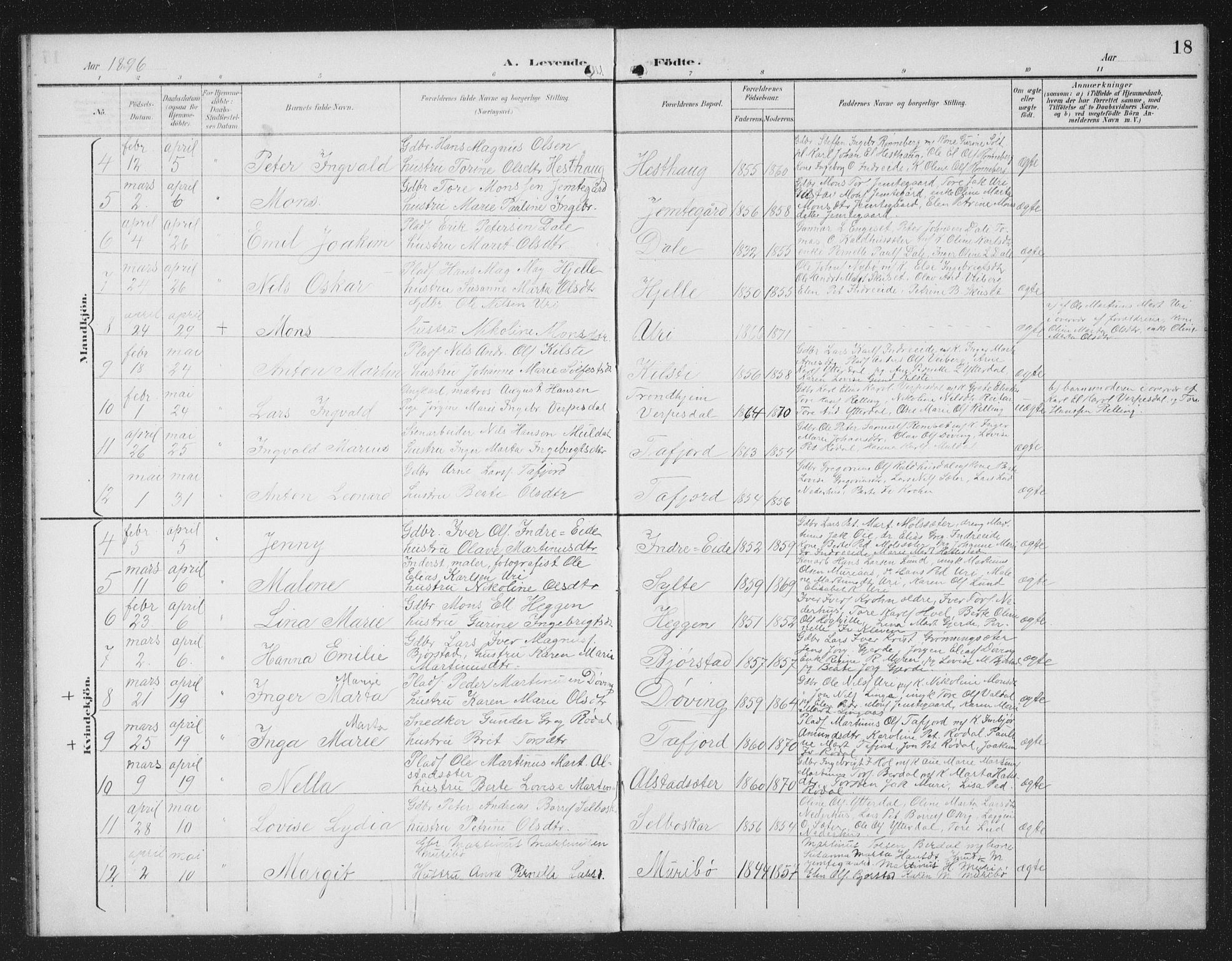 Ministerialprotokoller, klokkerbøker og fødselsregistre - Møre og Romsdal, AV/SAT-A-1454/519/L0264: Parish register (copy) no. 519C05, 1892-1910, p. 18