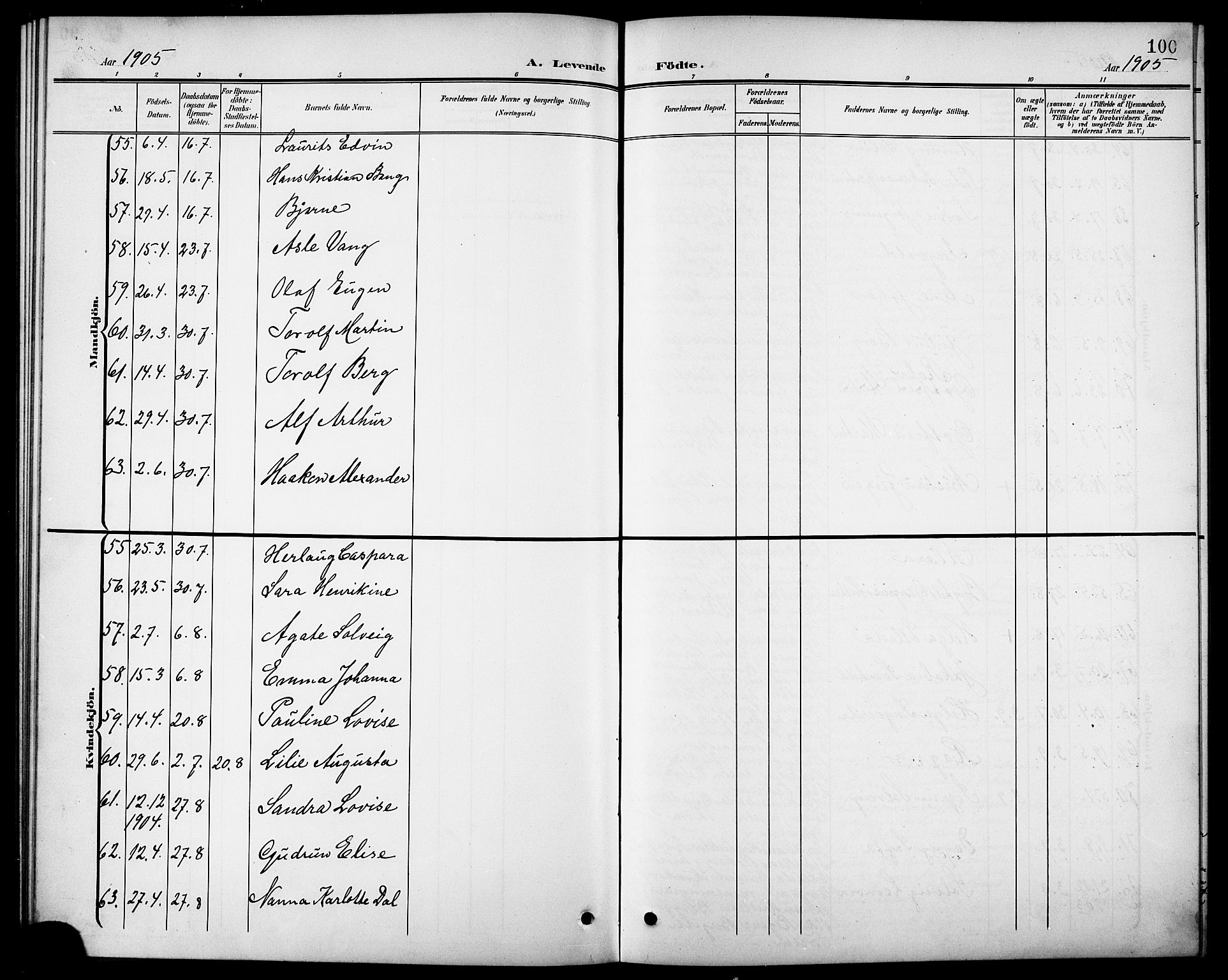 Ministerialprotokoller, klokkerbøker og fødselsregistre - Nordland, AV/SAT-A-1459/827/L0422: Parish register (copy) no. 827C11, 1899-1912, p. 100