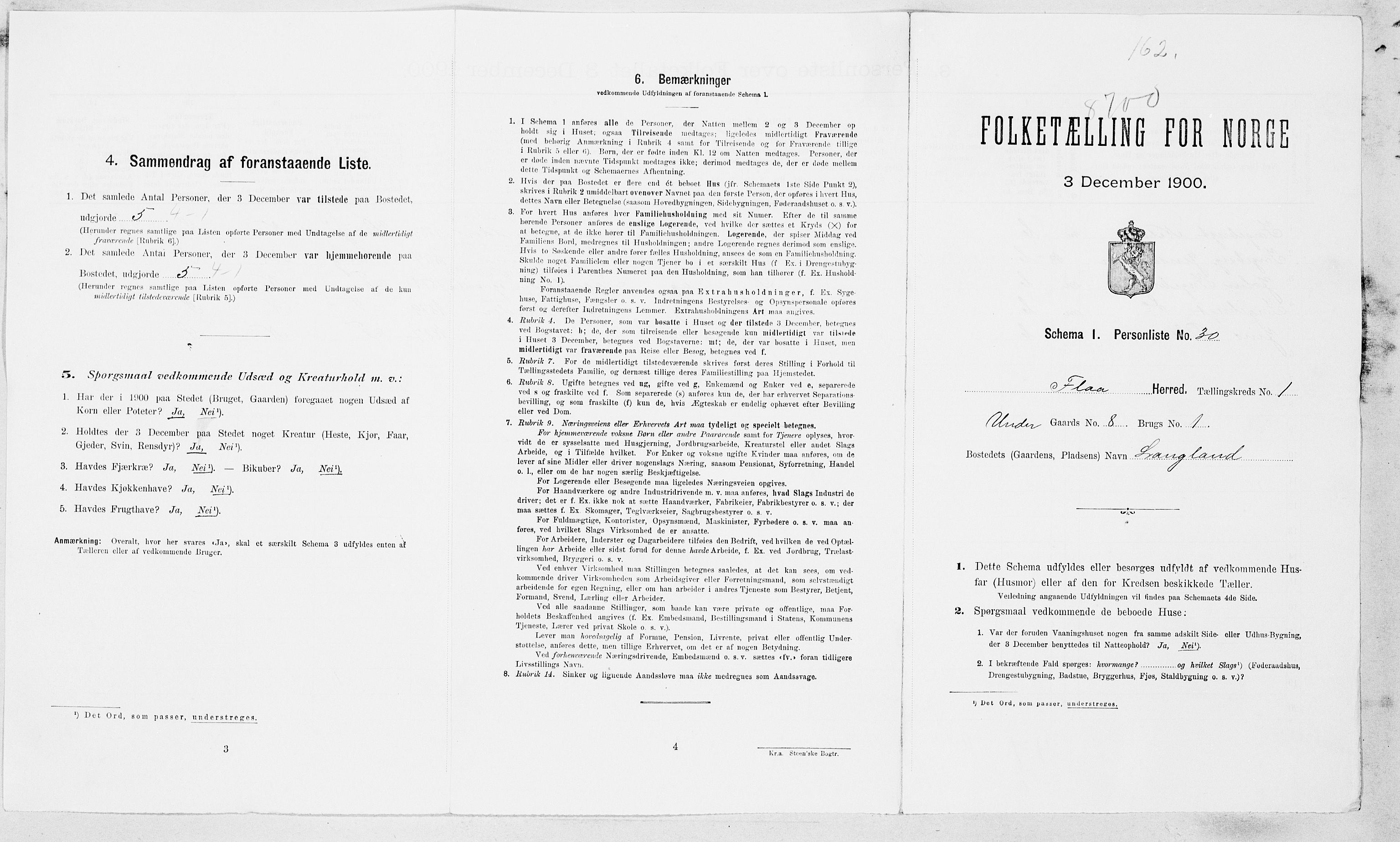 SAT, 1900 census for Flå, 1900, p. 12