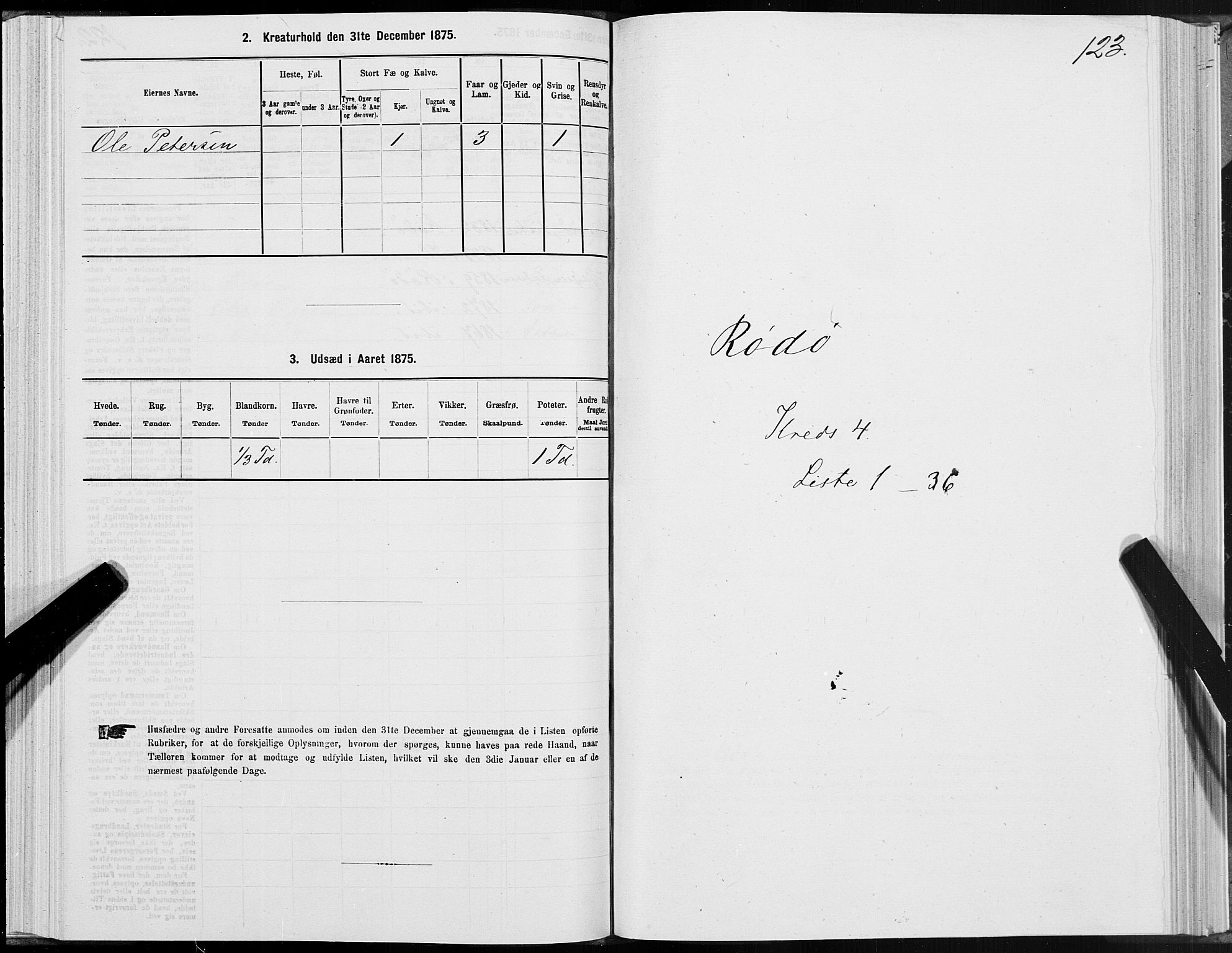 SAT, 1875 census for 1836P Rødøy, 1875, p. 2123