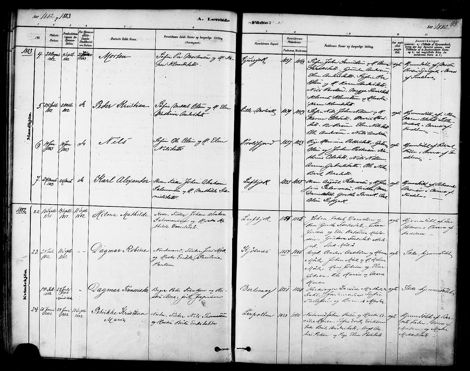 Tana sokneprestkontor, AV/SATØ-S-1334/H/Ha/L0004kirke: Parish register (official) no. 4, 1878-1891, p. 33