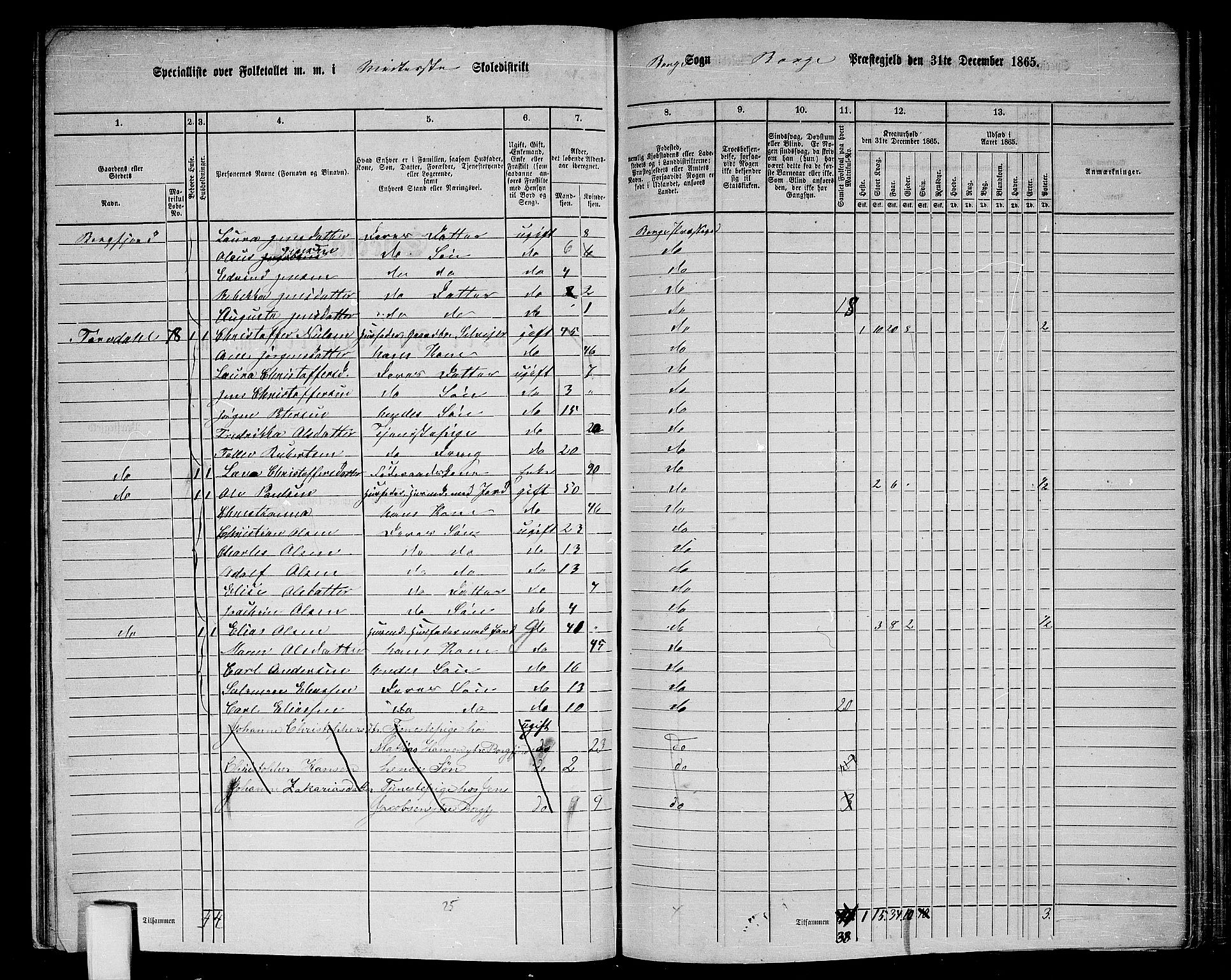 RA, 1865 census for Borge, 1865, p. 37