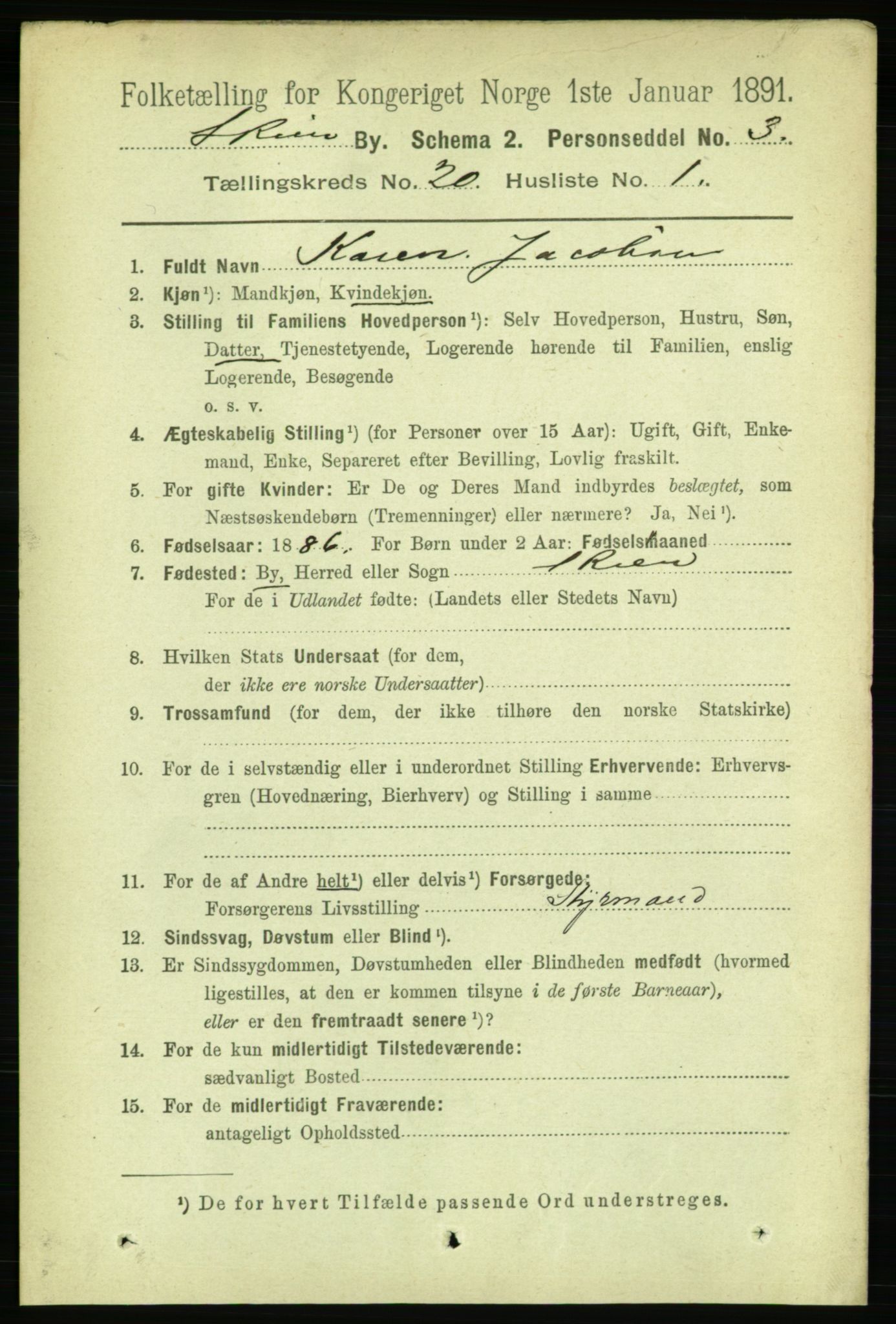 RA, 1891 census for 0806 Skien, 1891, p. 5125