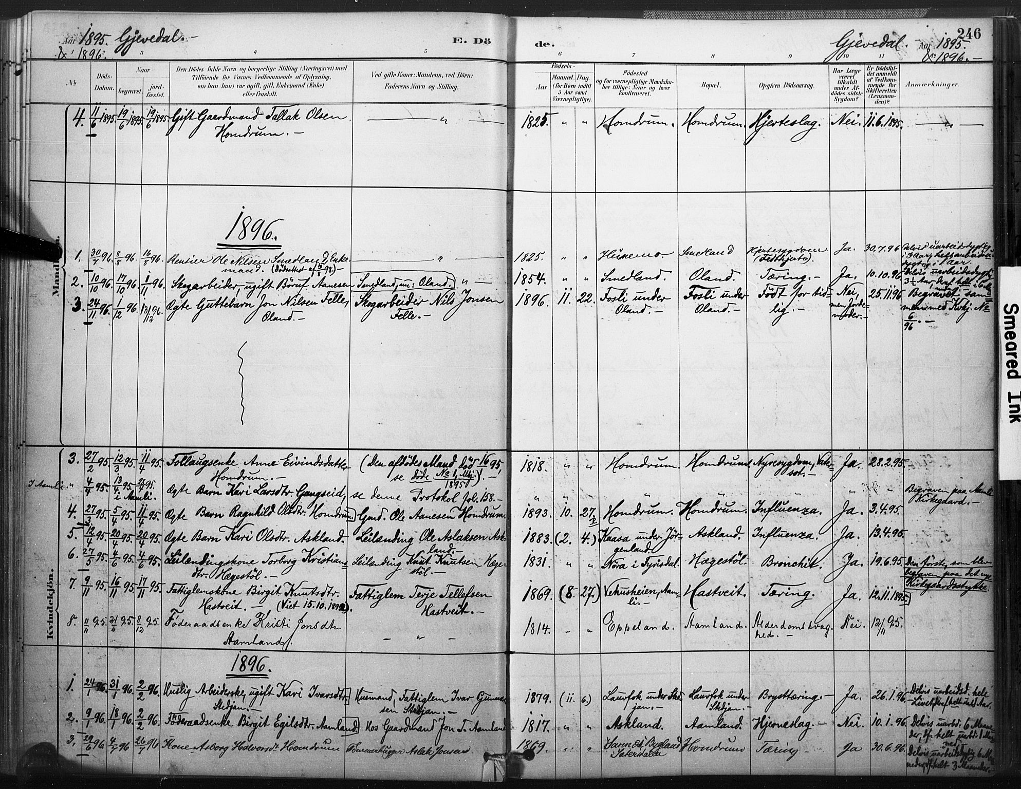 Åmli sokneprestkontor, SAK/1111-0050/F/Fa/Fac/L0010: Parish register (official) no. A 10 /2, 1885-1899, p. 246