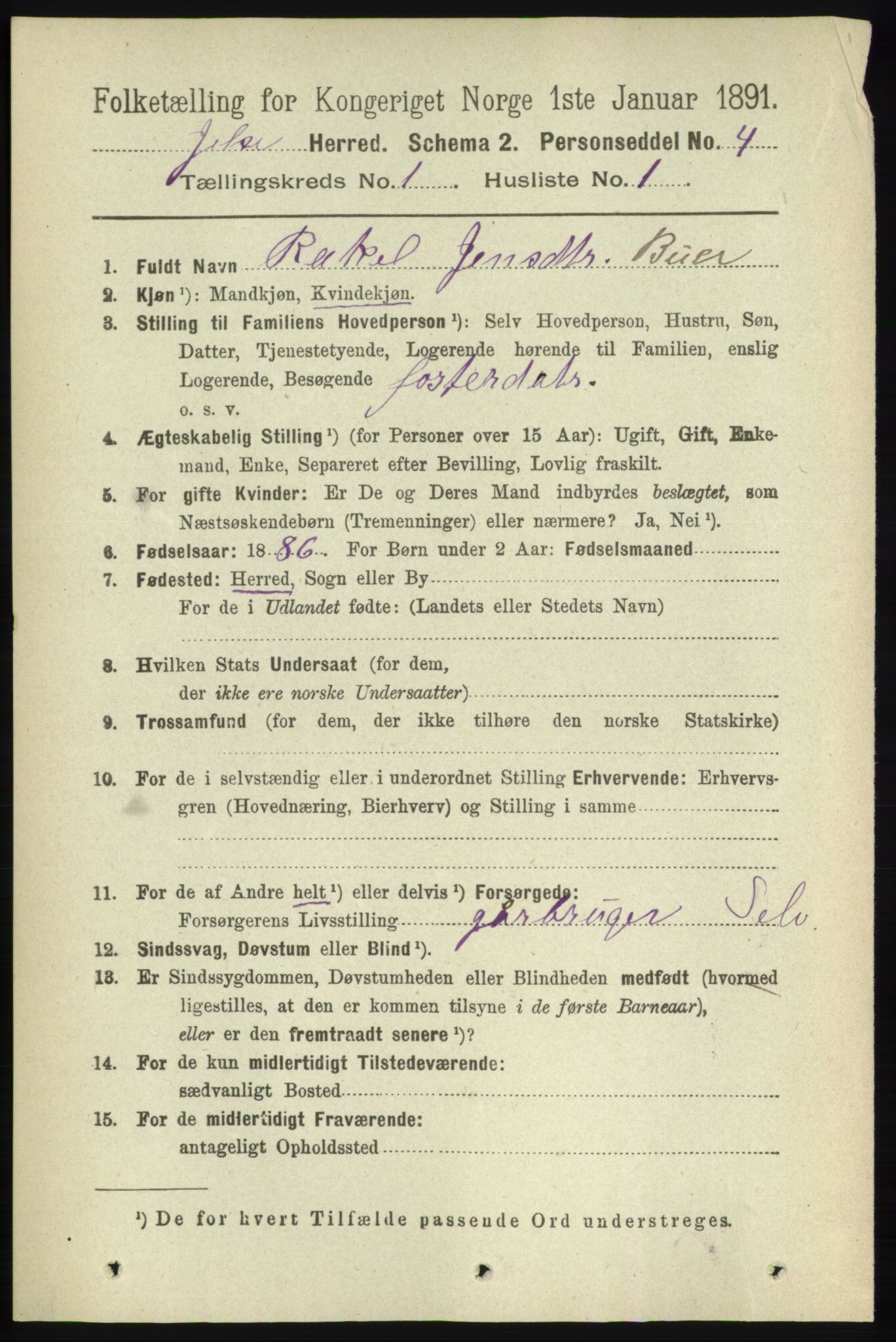 RA, 1891 census for 1138 Jelsa, 1891, p. 75