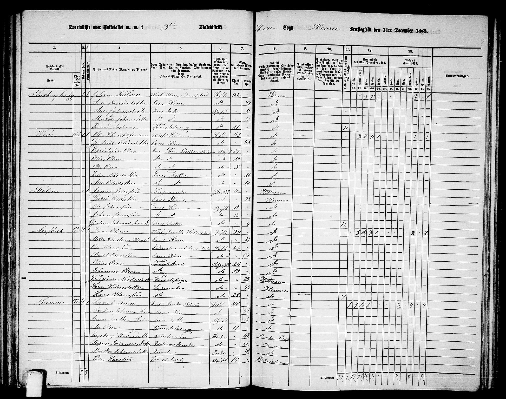 RA, 1865 census for Hemne, 1865, p. 74