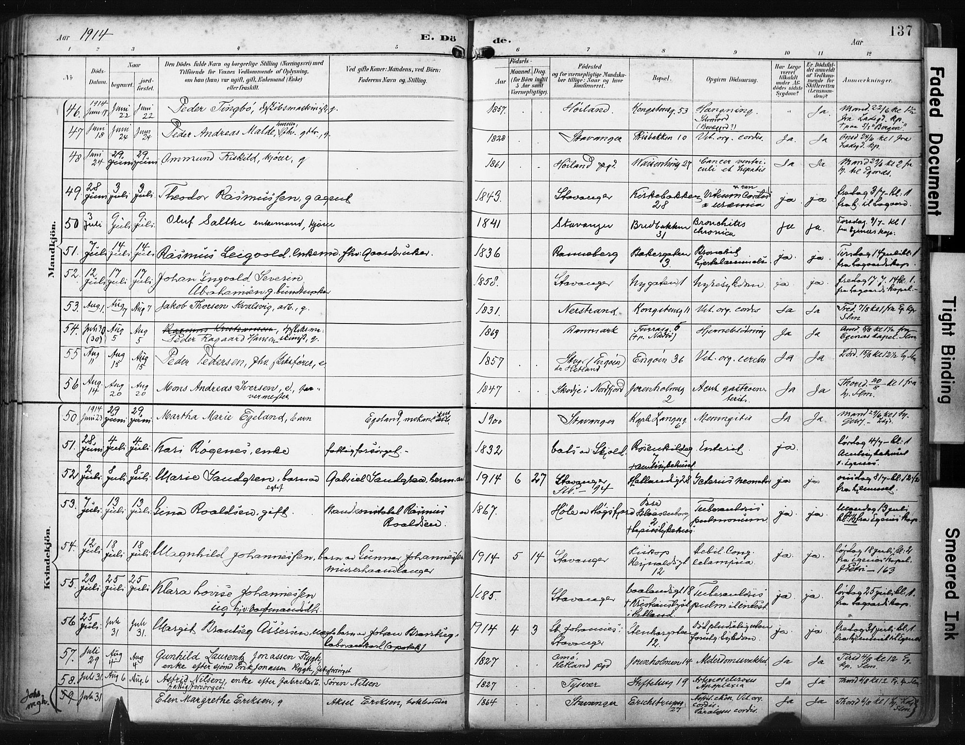 St. Petri sokneprestkontor, AV/SAST-A-101813/001/30/30BA/L0022: Parish register (official) no. A 22, 1895-1919, p. 137