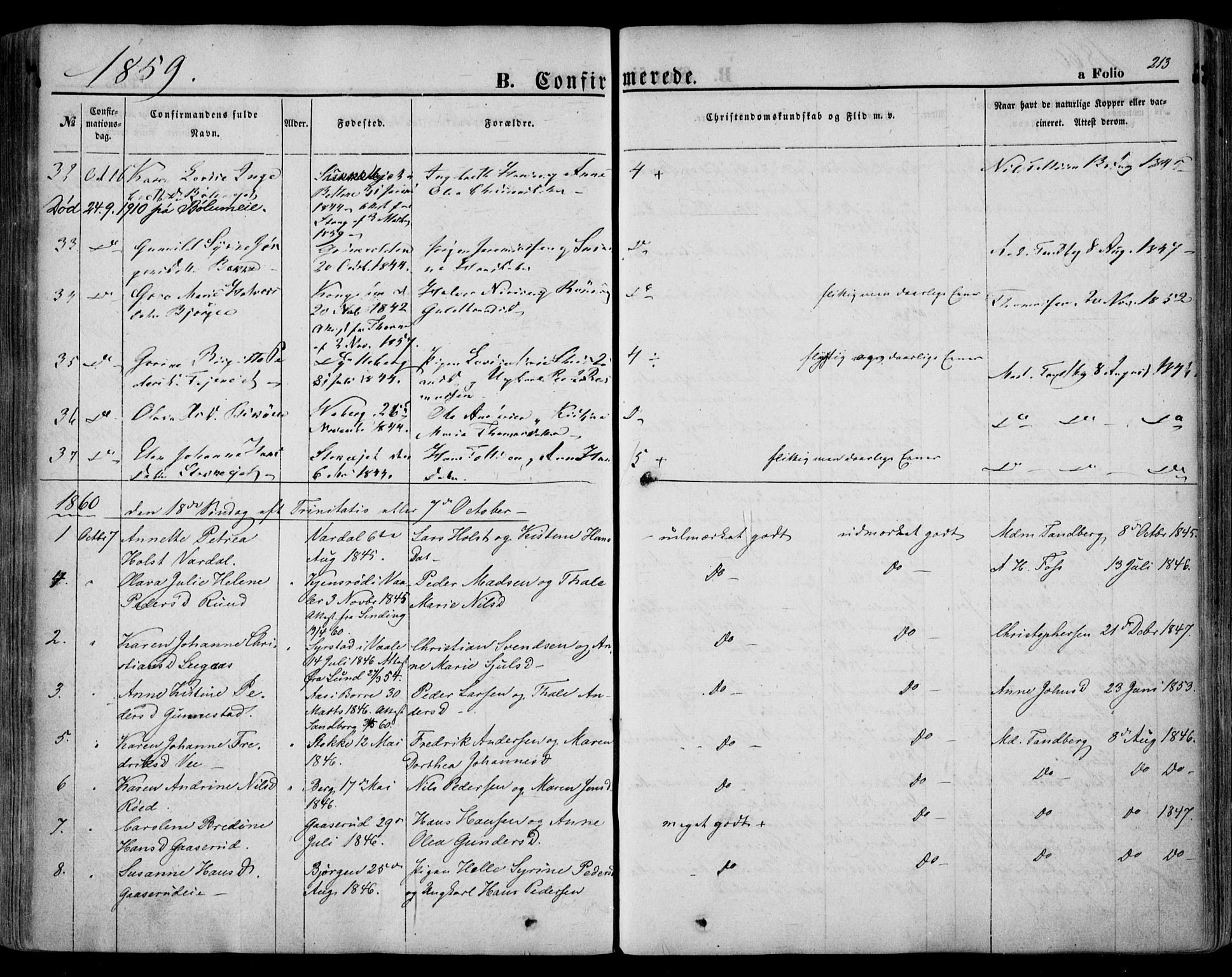 Sande Kirkebøker, SAKO/A-53/F/Fa/L0004: Parish register (official) no. 4, 1847-1864, p. 213