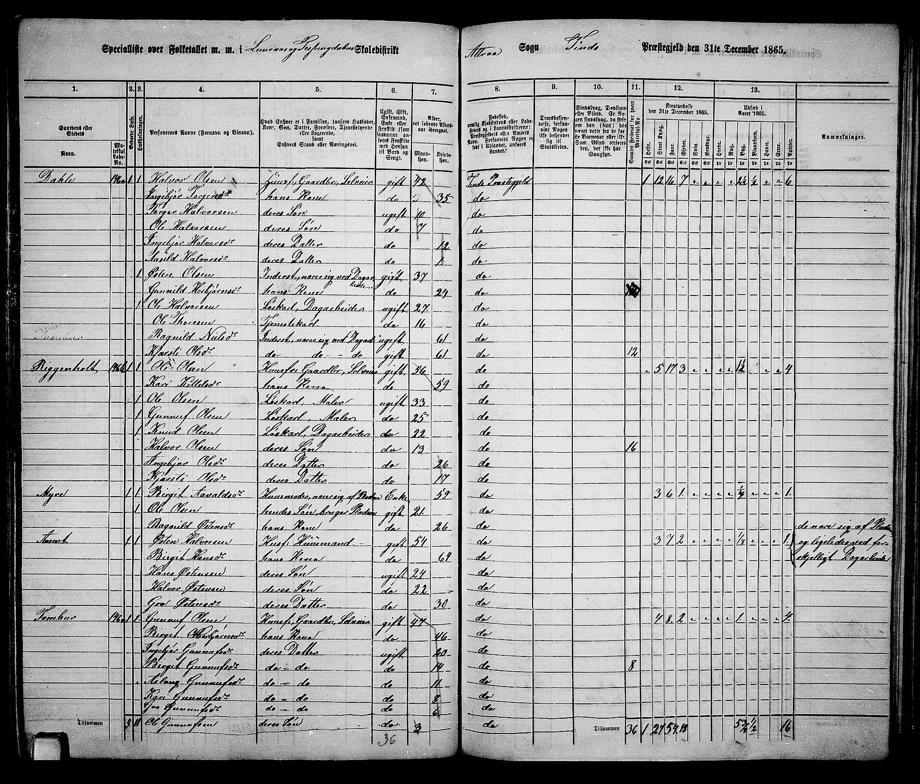 RA, 1865 census for Tinn, 1865, p. 33