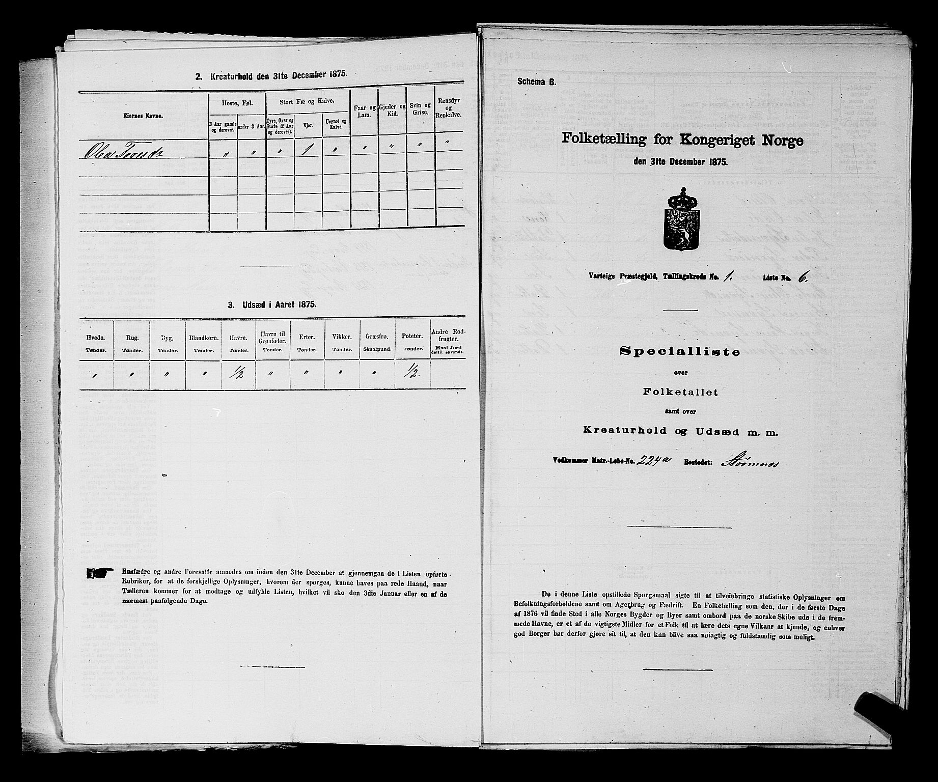 RA, 1875 census for 0114P Varteig, 1875, p. 27