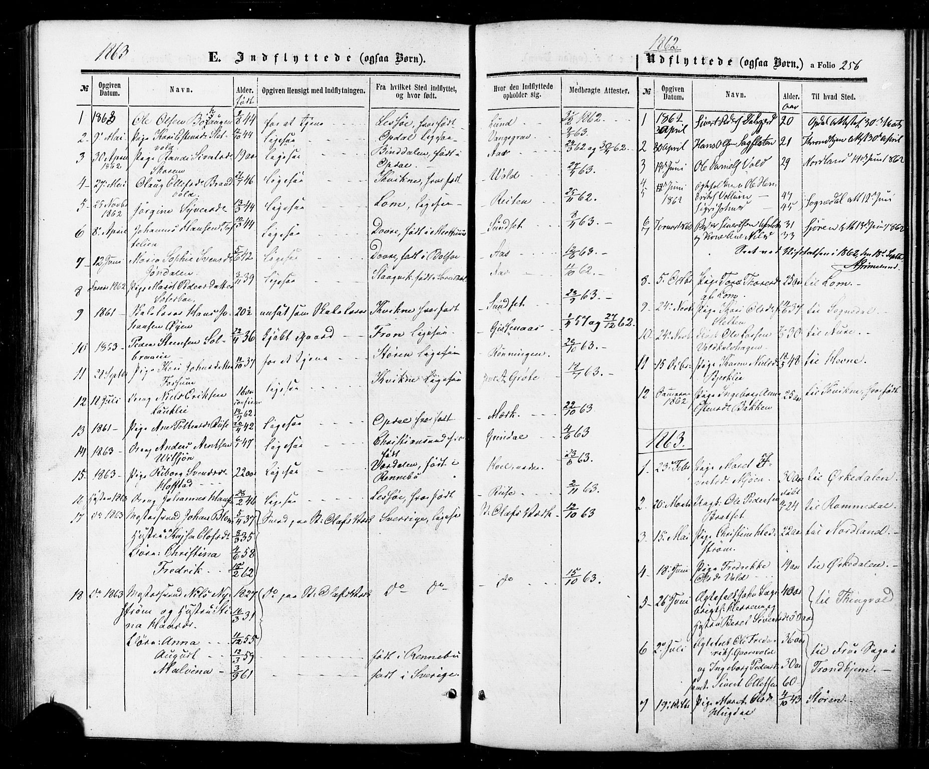 Ministerialprotokoller, klokkerbøker og fødselsregistre - Sør-Trøndelag, SAT/A-1456/674/L0870: Parish register (official) no. 674A02, 1861-1879, p. 256