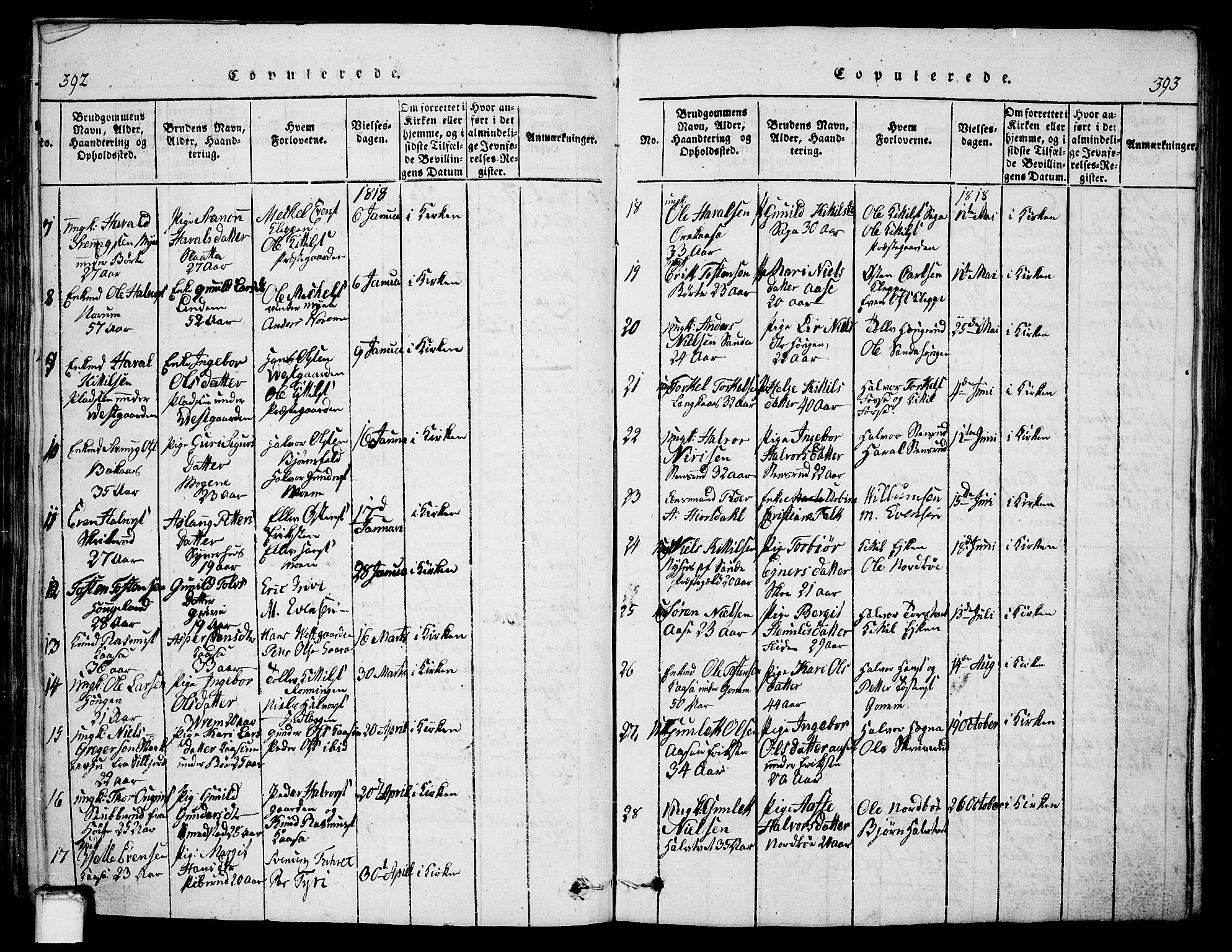 Bø kirkebøker, AV/SAKO-A-257/G/Ga/L0001: Parish register (copy) no. 1, 1815-1831, p. 392-393