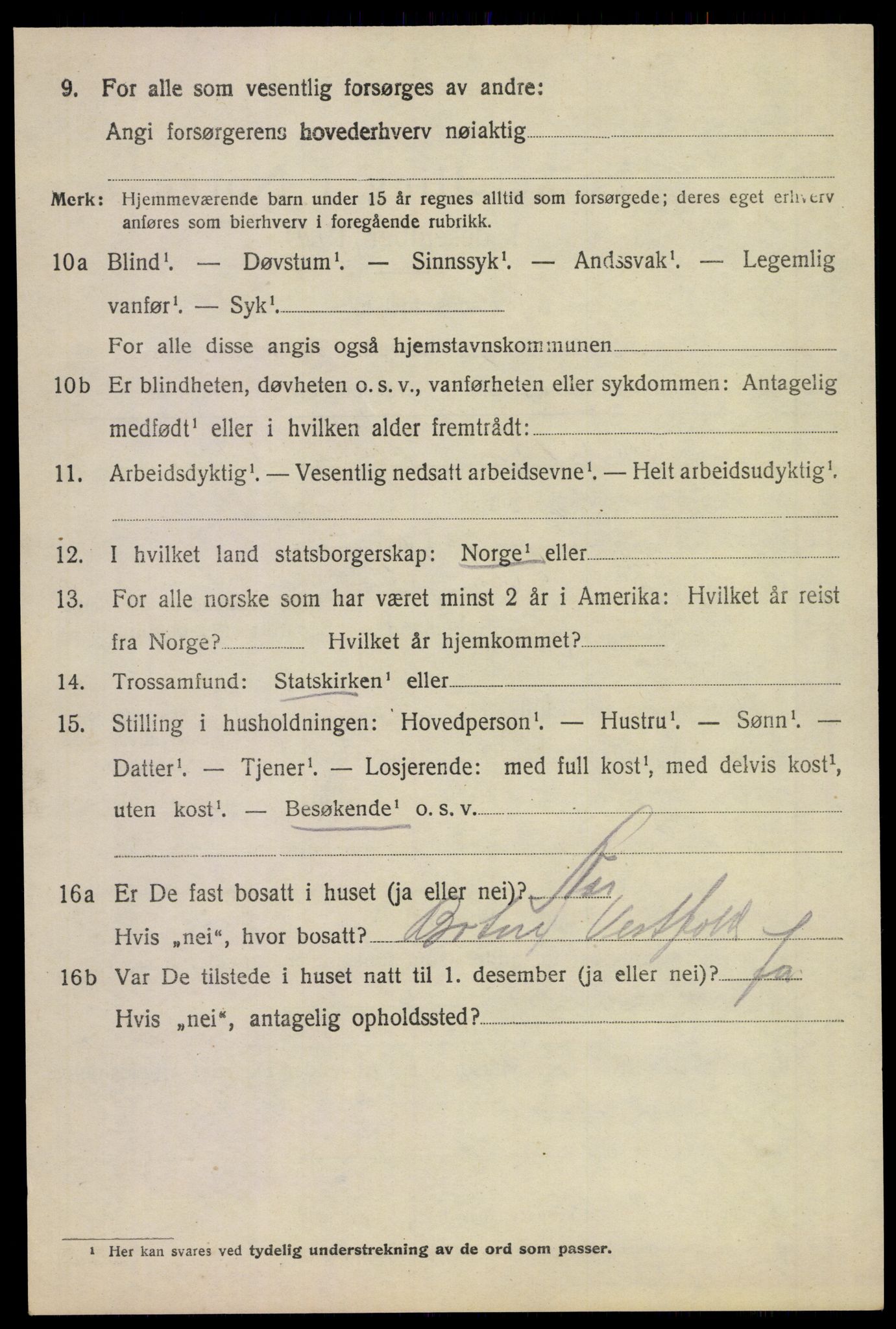 SAKO, 1920 census for Borre, 1920, p. 7133