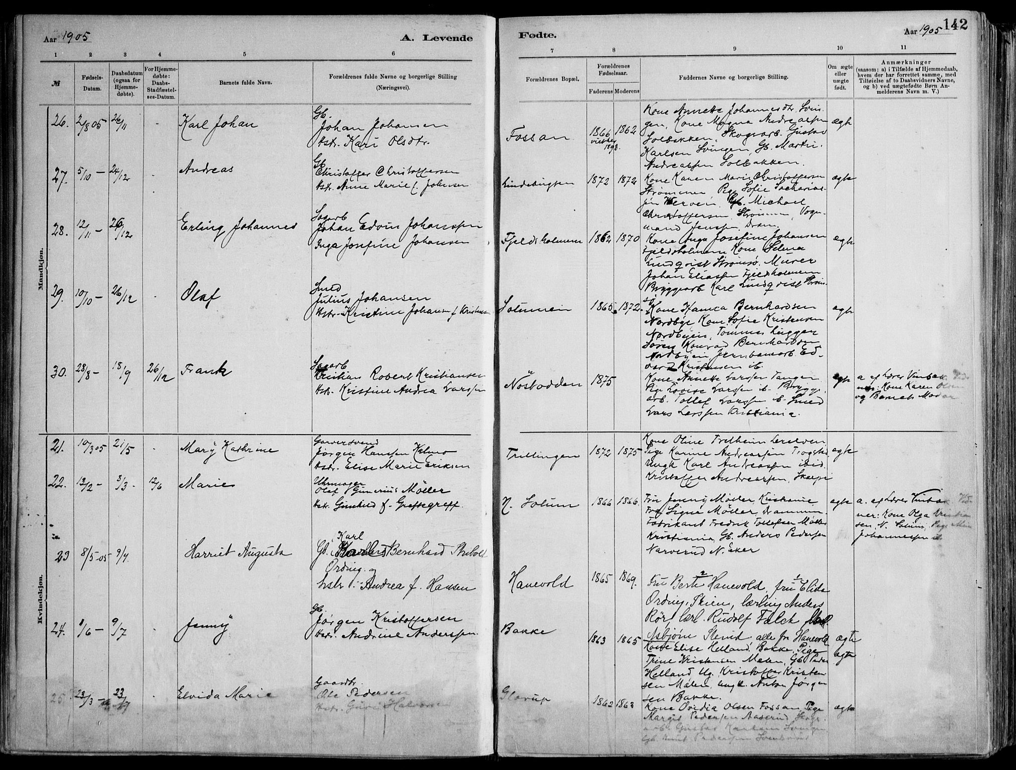 Skoger kirkebøker, AV/SAKO-A-59/F/Fa/L0006: Parish register (official) no. I 6, 1885-1910, p. 142