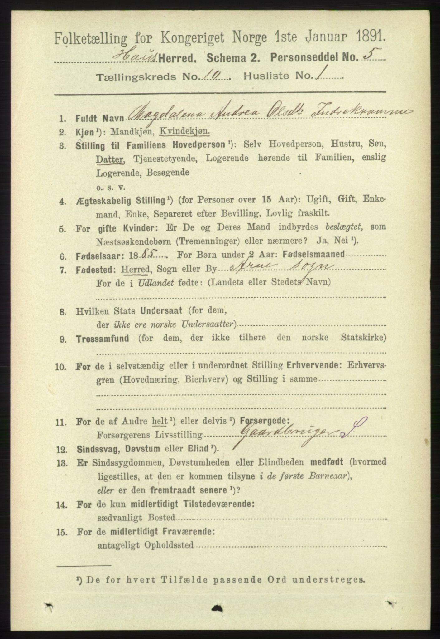 RA, 1891 census for 1250 Haus, 1891, p. 4110