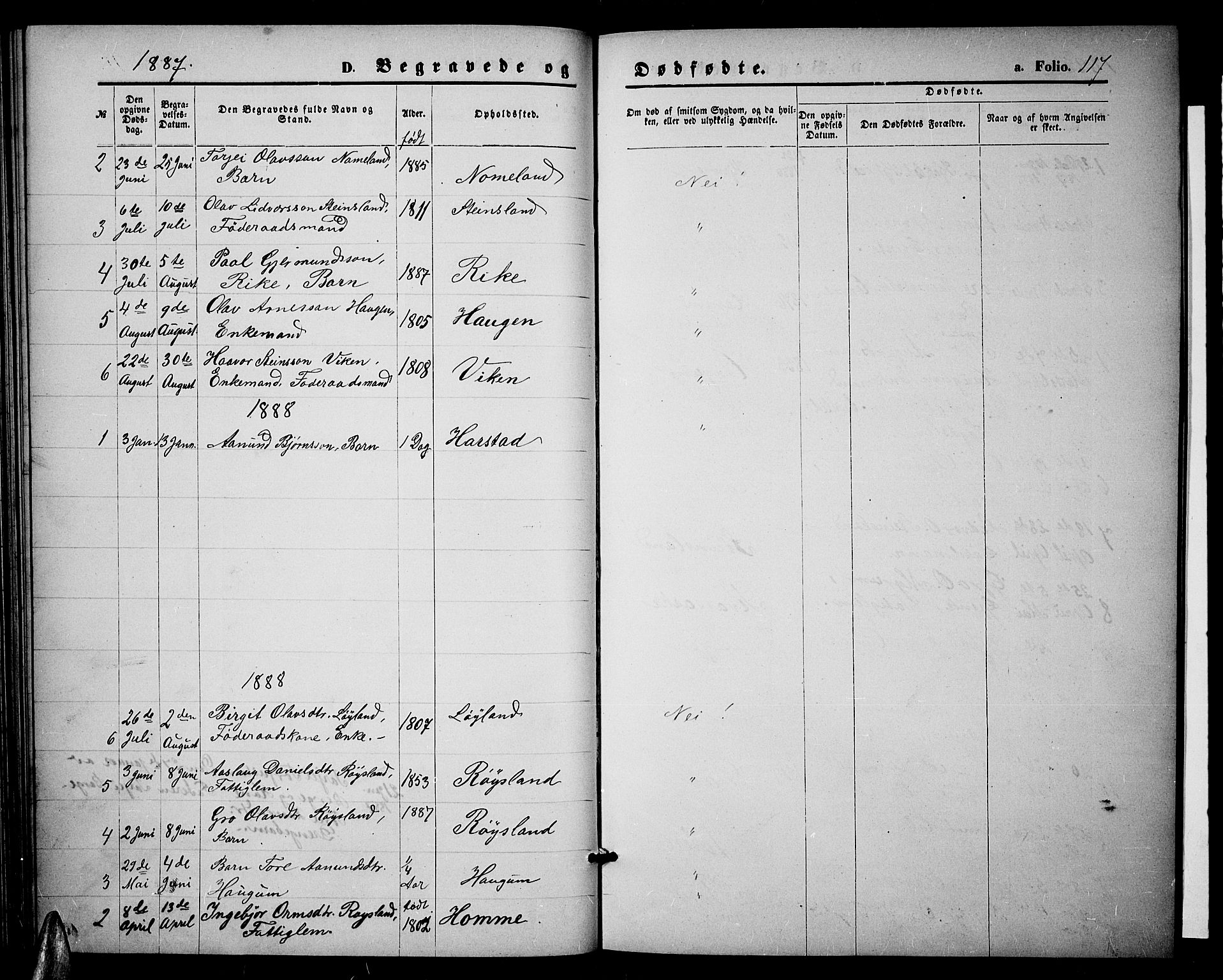 Valle sokneprestkontor, AV/SAK-1111-0044/F/Fb/Fbc/L0003: Parish register (copy) no. B 3, 1871-1890, p. 117