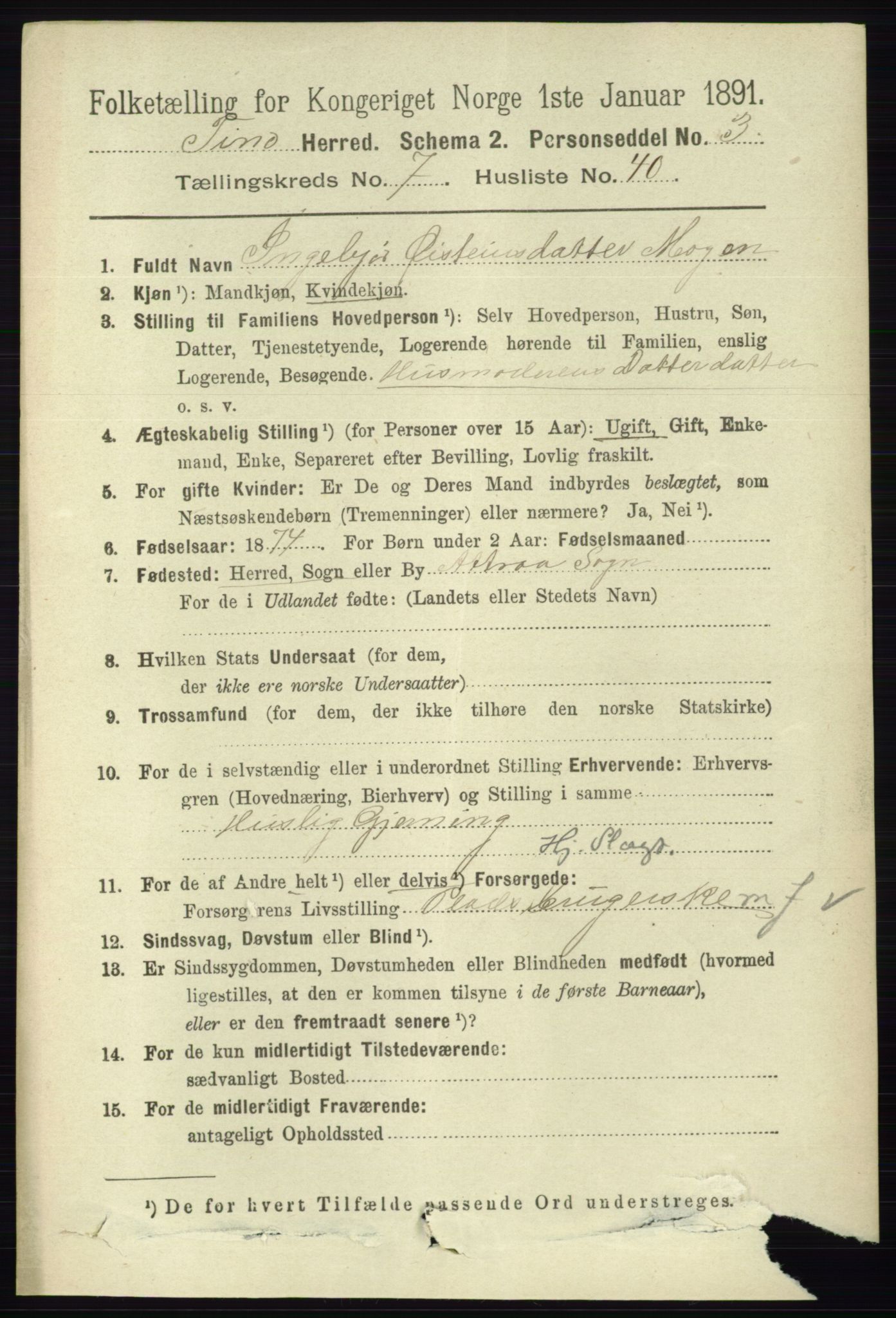 RA, 1891 census for 0826 Tinn, 1891, p. 1626