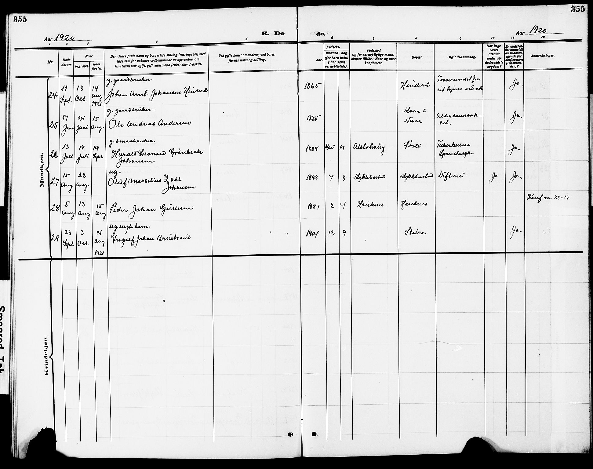 Ministerialprotokoller, klokkerbøker og fødselsregistre - Nordland, AV/SAT-A-1459/838/L0560: Parish register (copy) no. 838C07, 1910-1928, p. 355