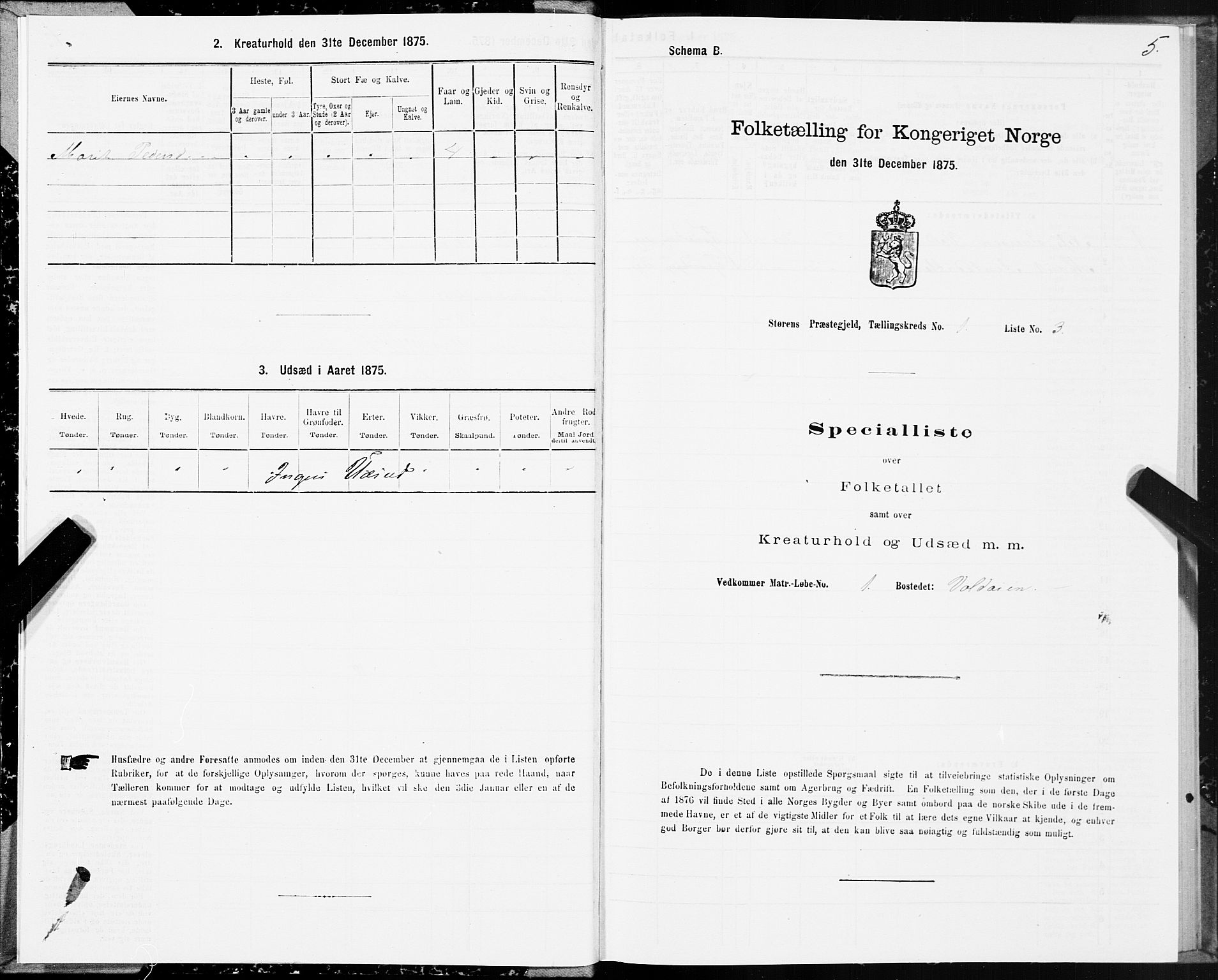 SAT, 1875 census for 1648P Støren, 1875, p. 1005