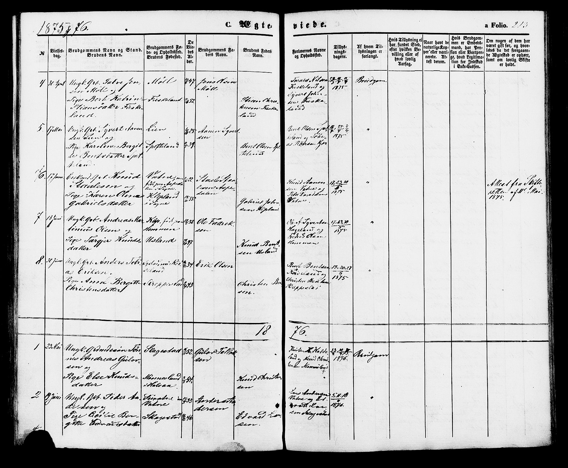 Holum sokneprestkontor, AV/SAK-1111-0022/F/Fa/Faa/L0006: Parish register (official) no. A 6, 1865-1883, p. 213