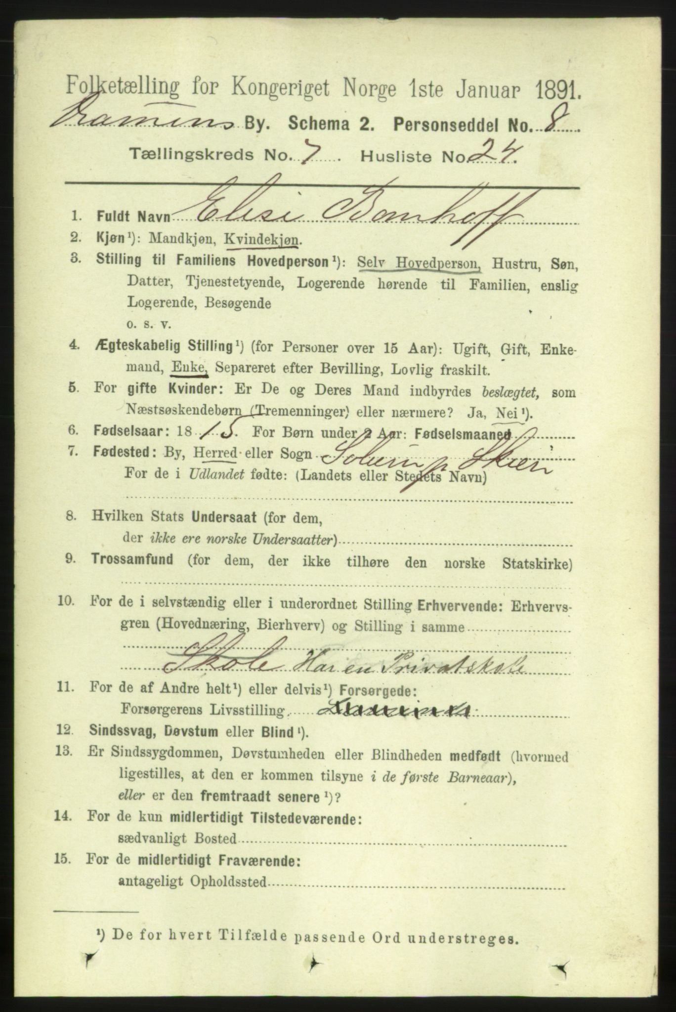 RA, 1891 census for 0602 Drammen, 1891, p. 6696