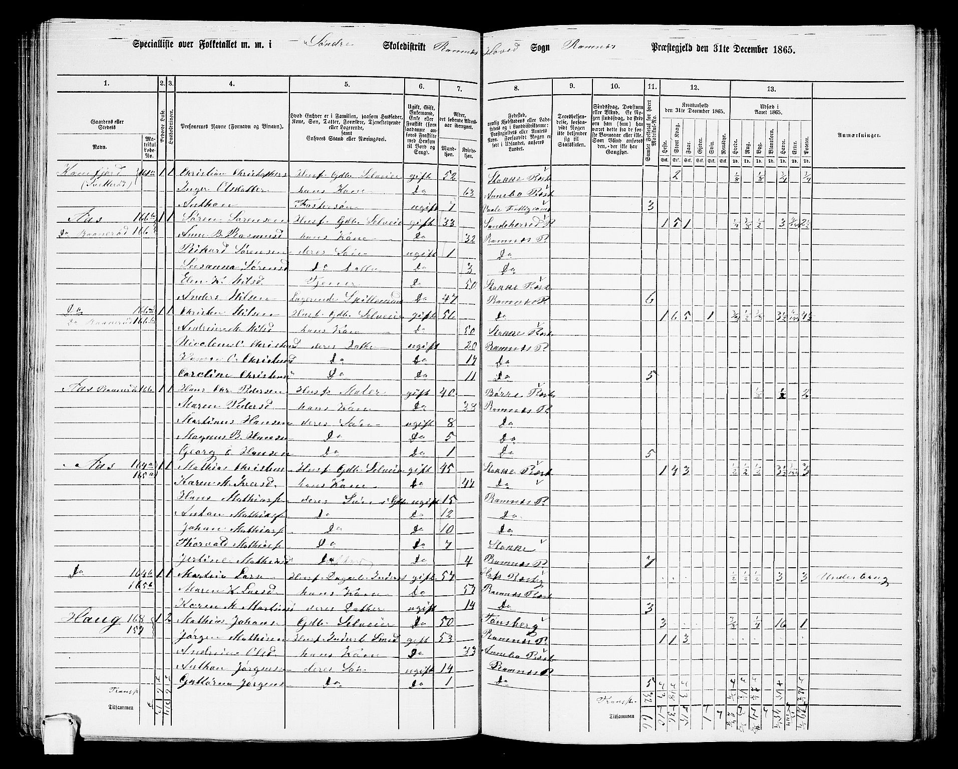 RA, 1865 census for Ramnes, 1865, p. 29