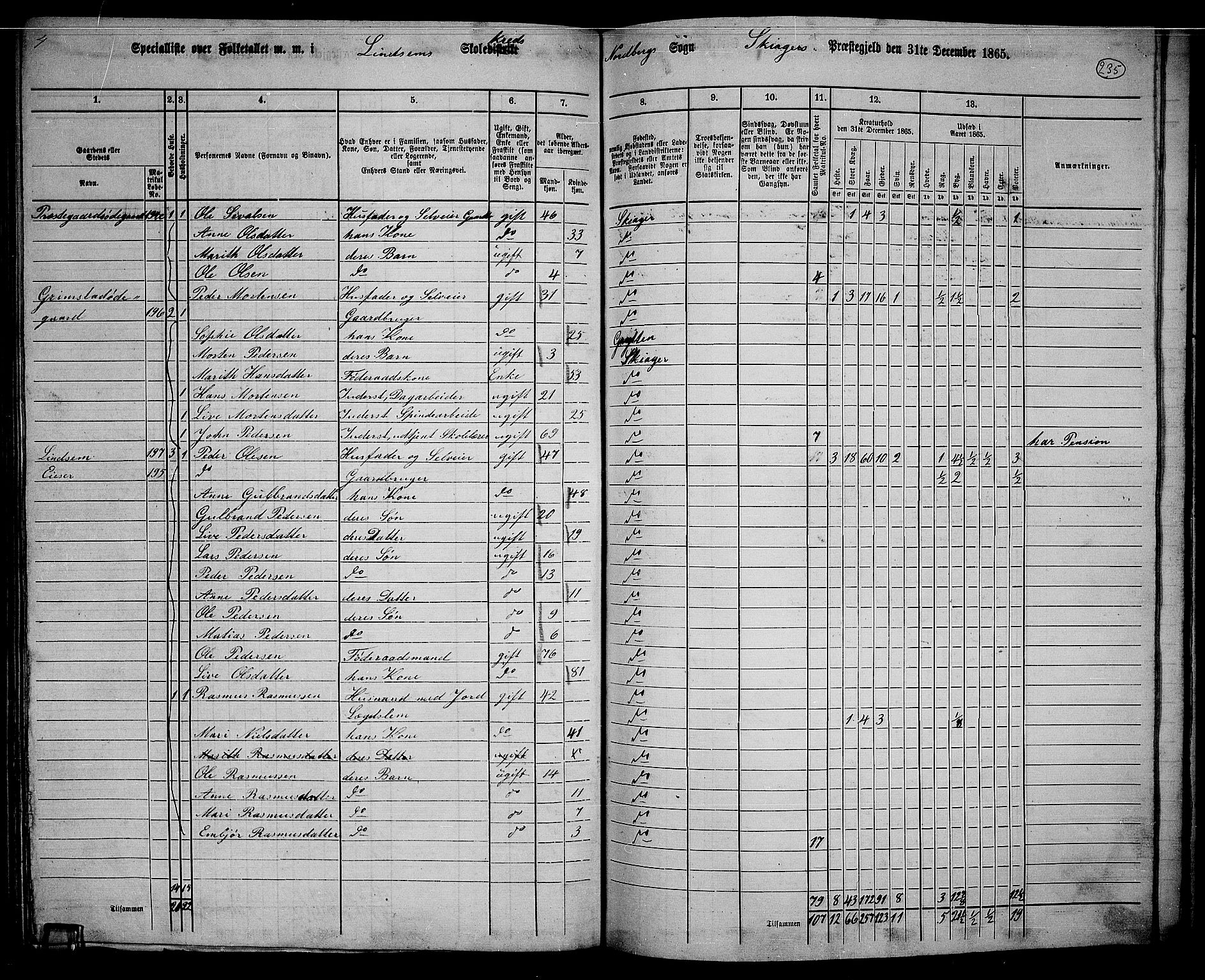 RA, 1865 census for Skjåk, 1865, p. 82