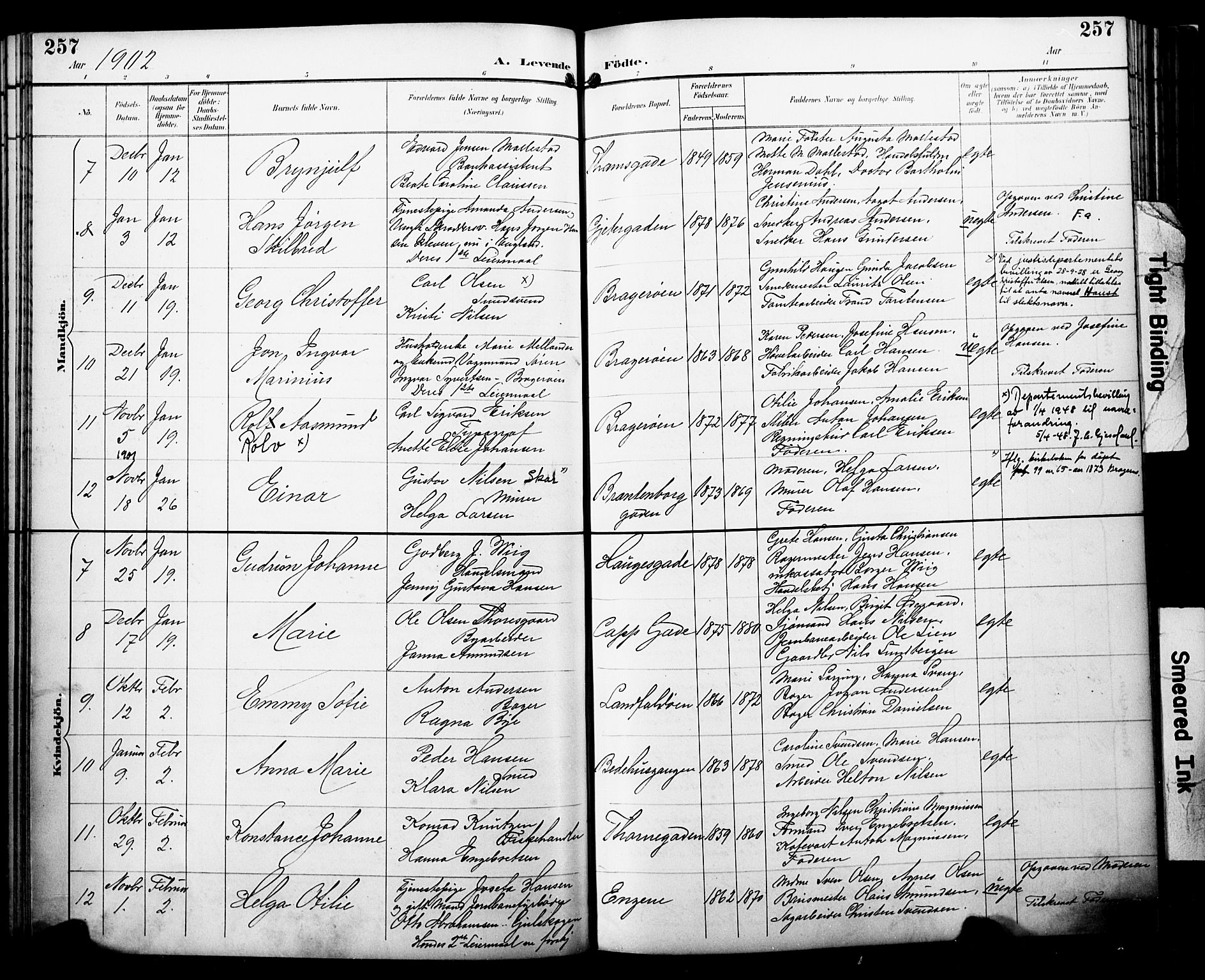 Bragernes kirkebøker, AV/SAKO-A-6/F/Fb/L0008: Parish register (official) no. II 8, 1894-1902, p. 257