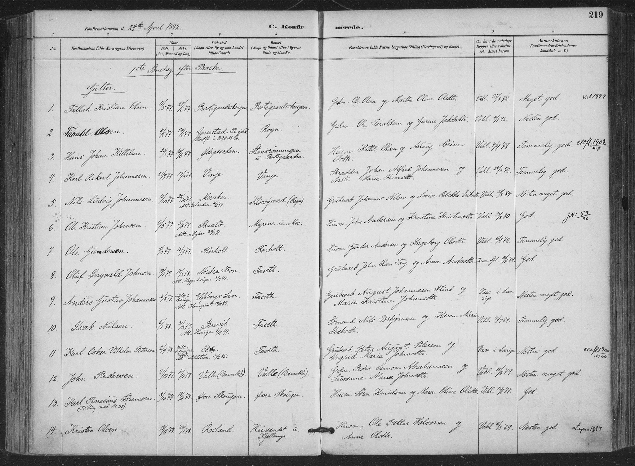 Bamble kirkebøker, AV/SAKO-A-253/F/Fa/L0008: Parish register (official) no. I 8, 1888-1900, p. 219