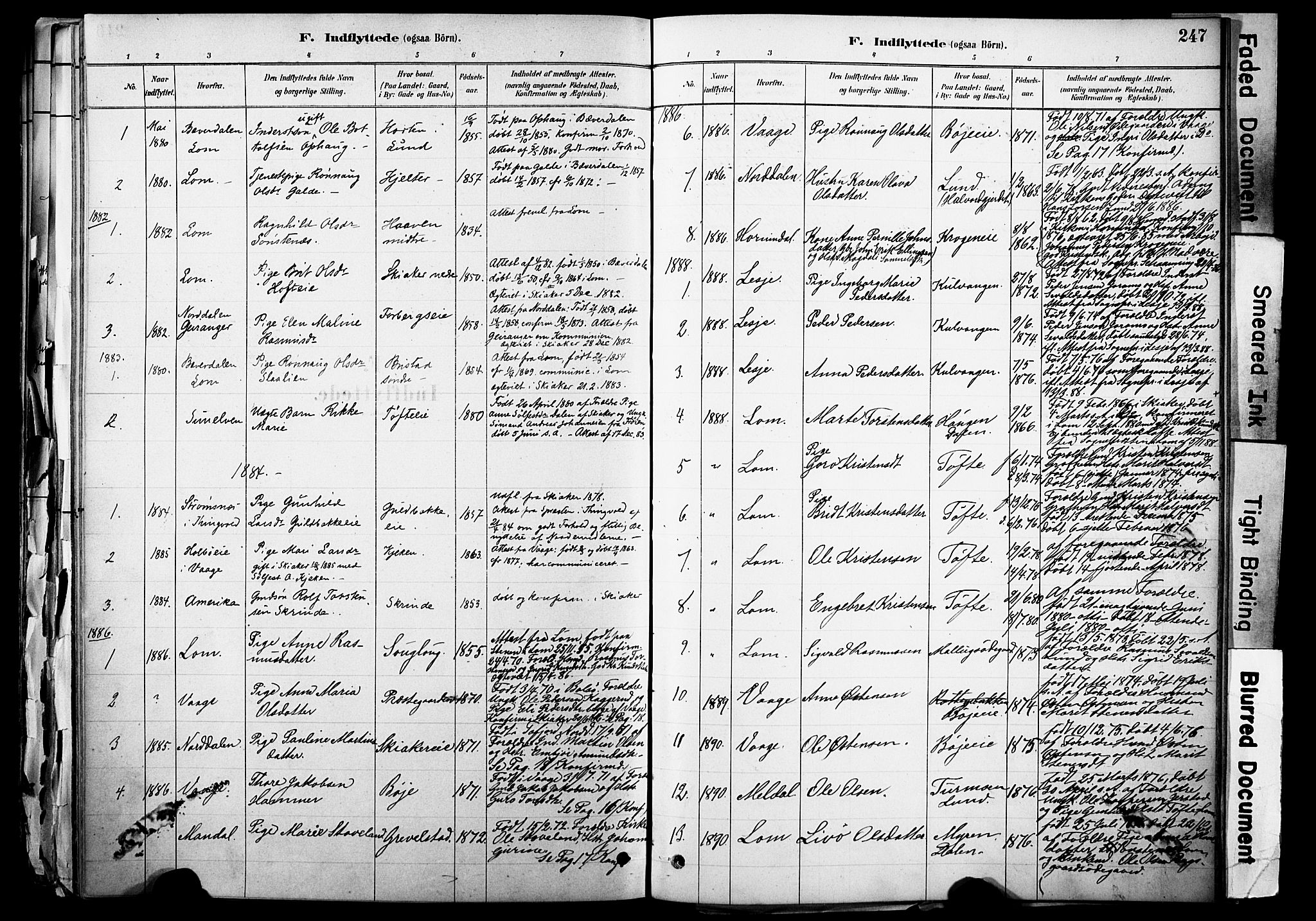 Skjåk prestekontor, SAH/PREST-072/H/Ha/Haa/L0003: Parish register (official) no. 3, 1880-1907, p. 247