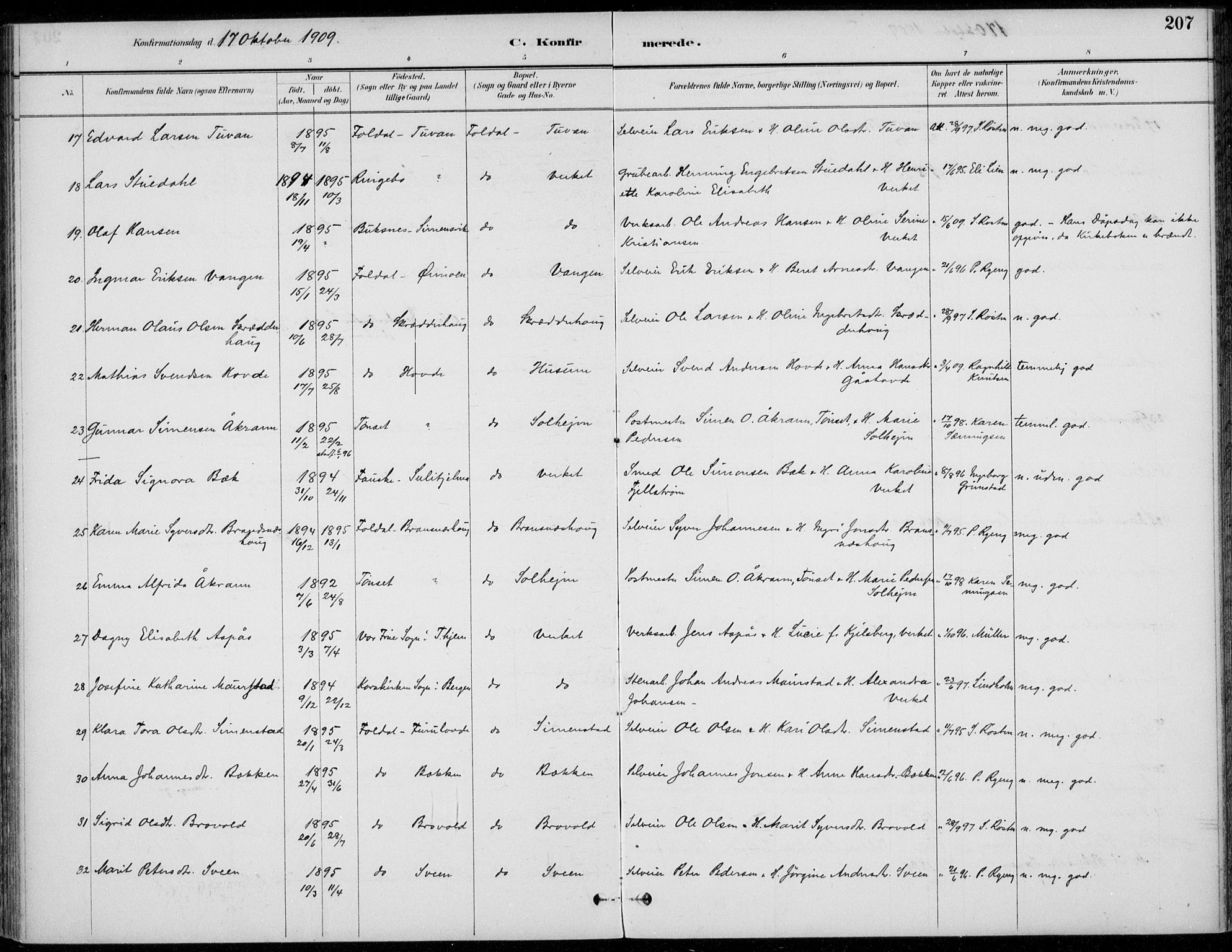 Alvdal prestekontor, AV/SAH-PREST-060/H/Ha/Haa/L0003: Parish register (official) no. 3, 1886-1912, p. 207