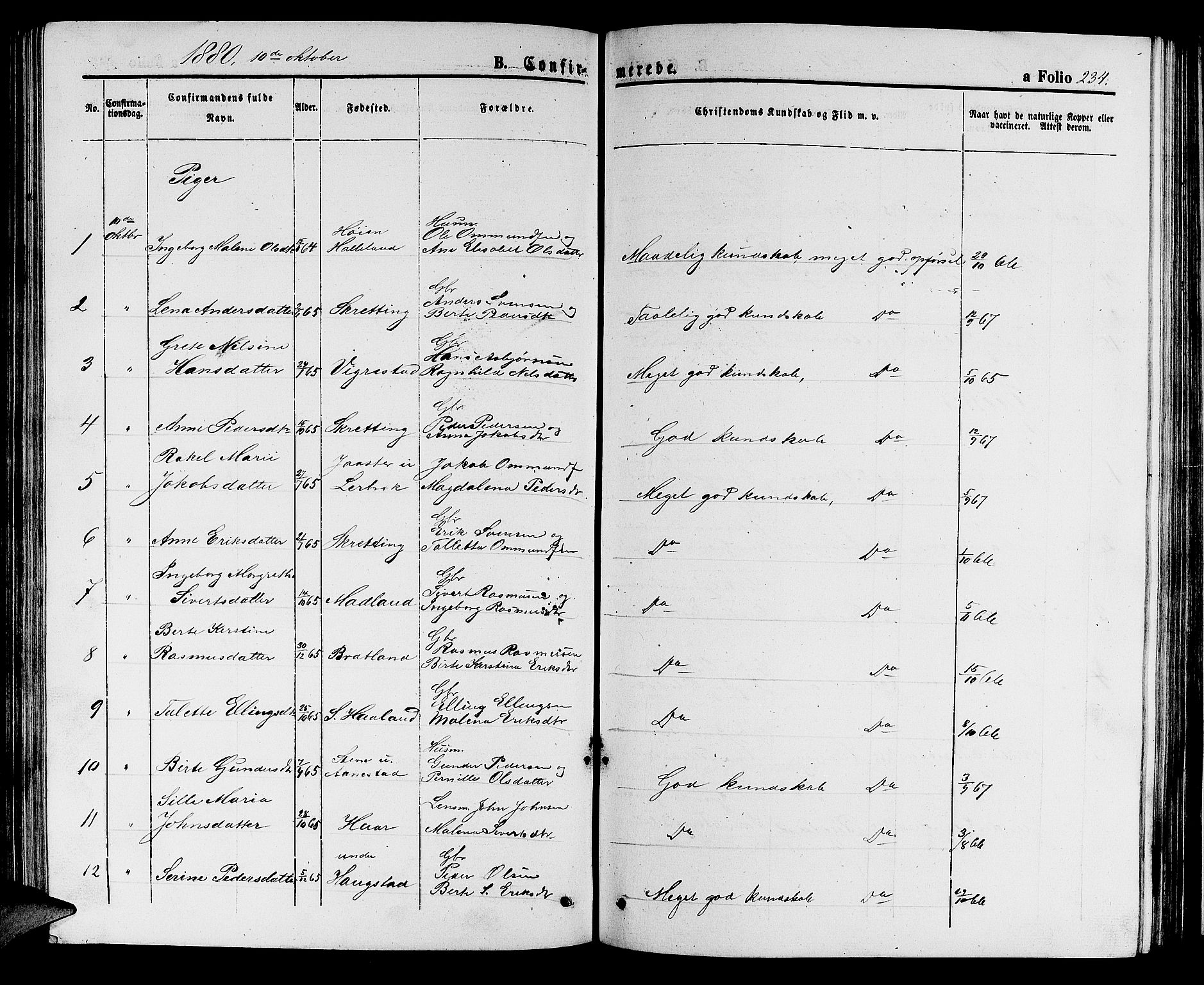 Hå sokneprestkontor, AV/SAST-A-101801/001/30BB/L0002: Parish register (copy) no. B 2, 1854-1883, p. 234