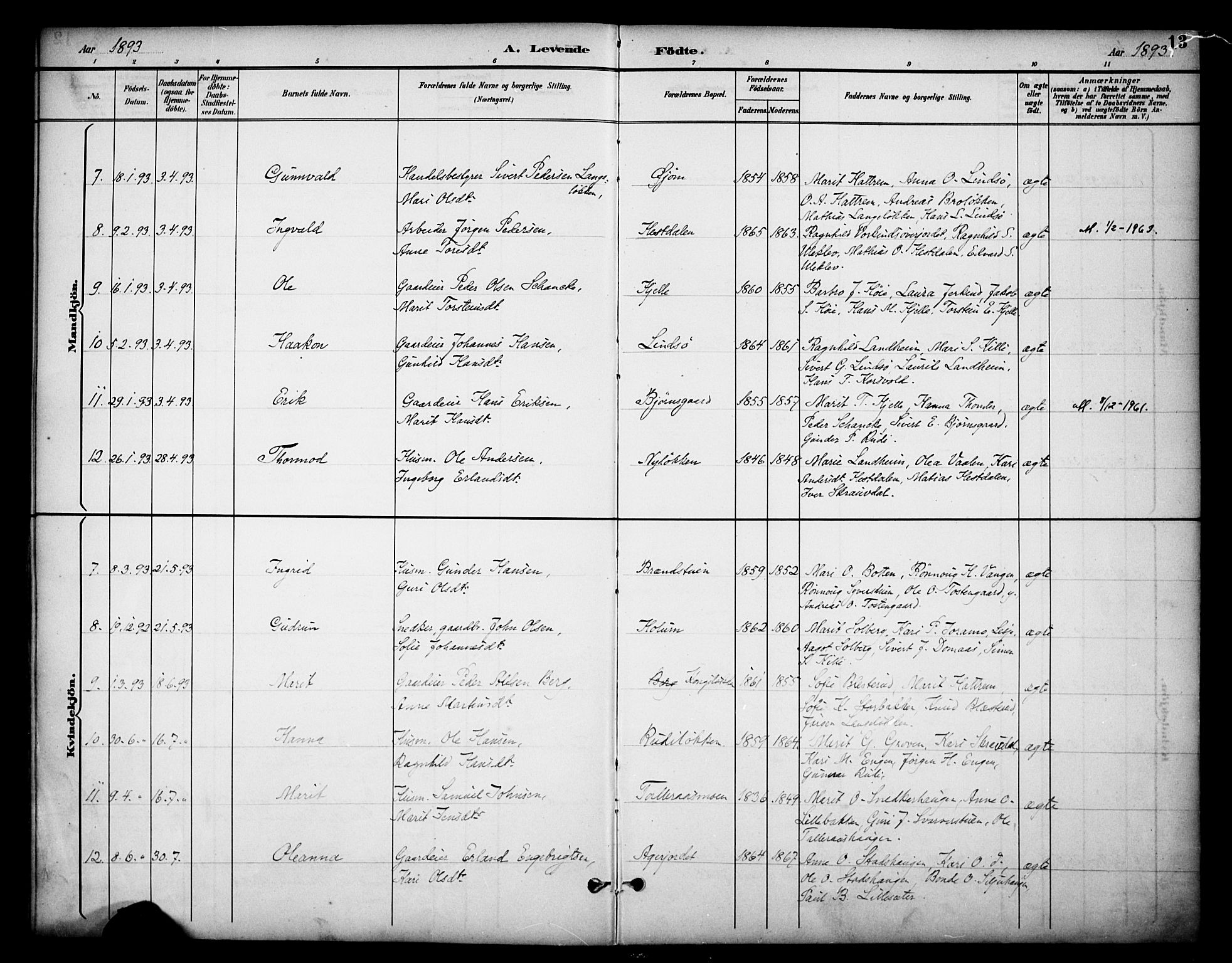 Dovre prestekontor, AV/SAH-PREST-066/H/Ha/Haa/L0003: Parish register (official) no. 3, 1891-1901, p. 13