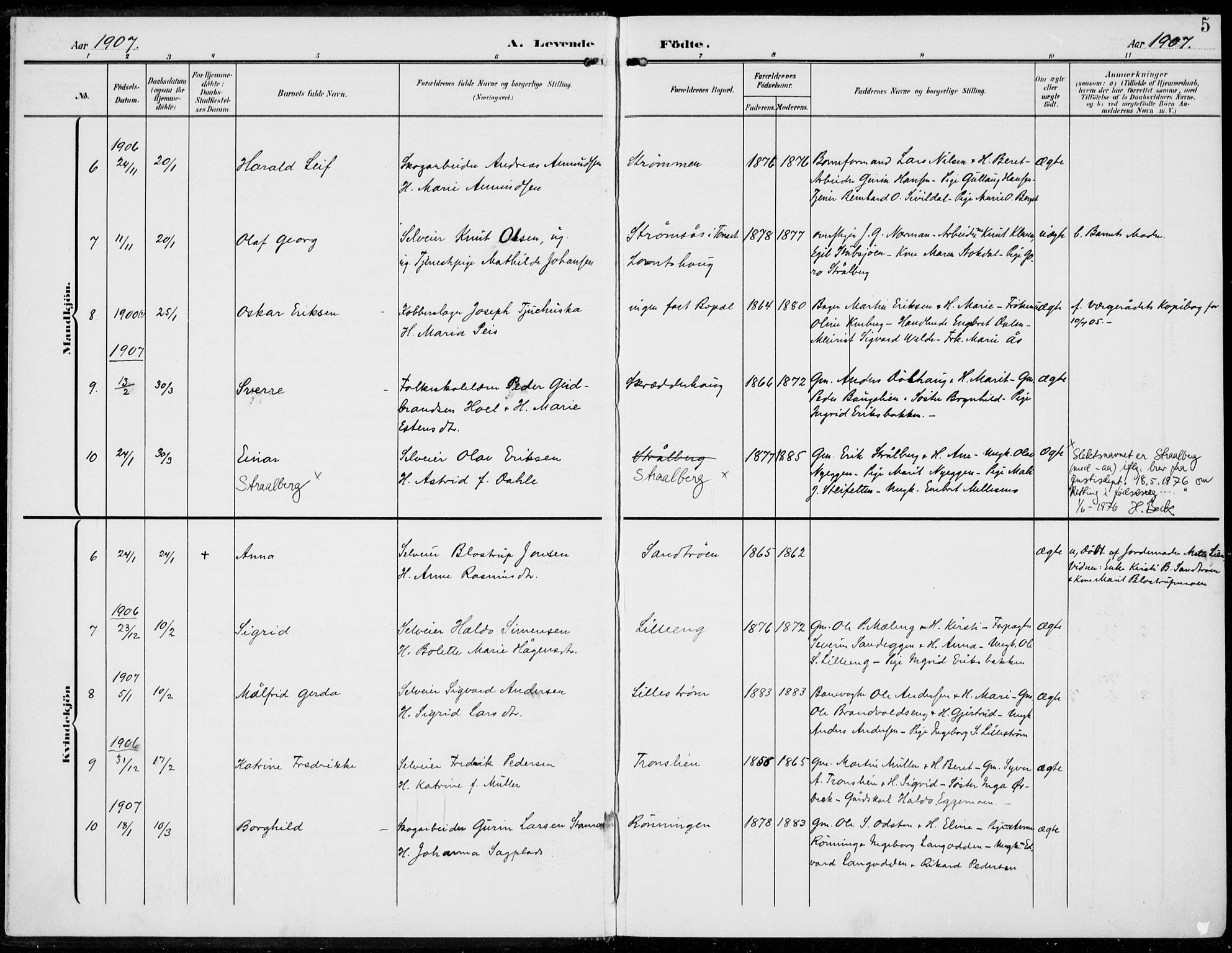 Alvdal prestekontor, AV/SAH-PREST-060/H/Ha/Haa/L0004: Parish register (official) no. 4, 1907-1919, p. 5