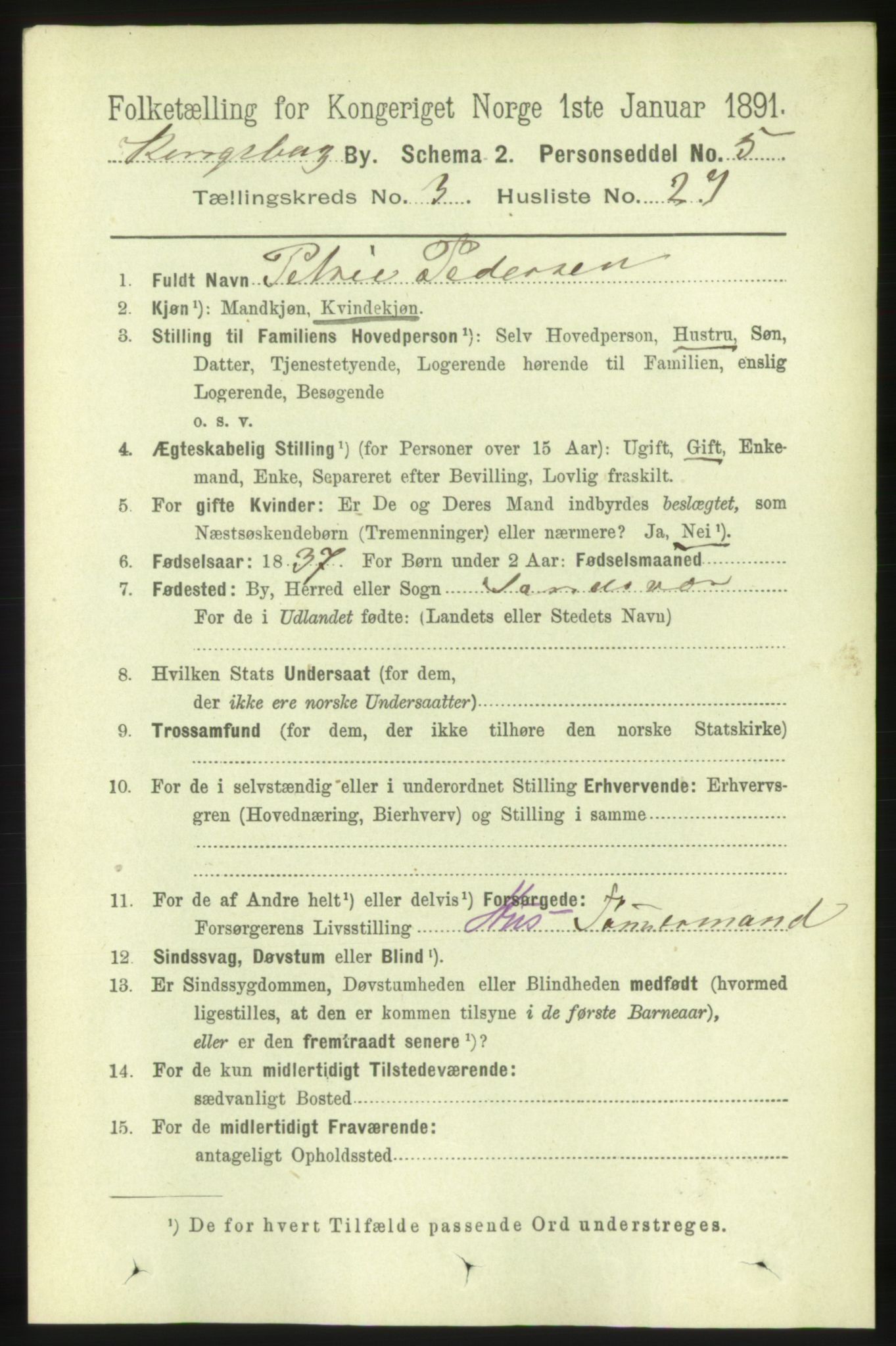 RA, 1891 census for 0604 Kongsberg, 1891, p. 3027